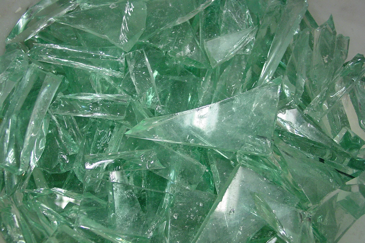 pro_1000_004.jpg