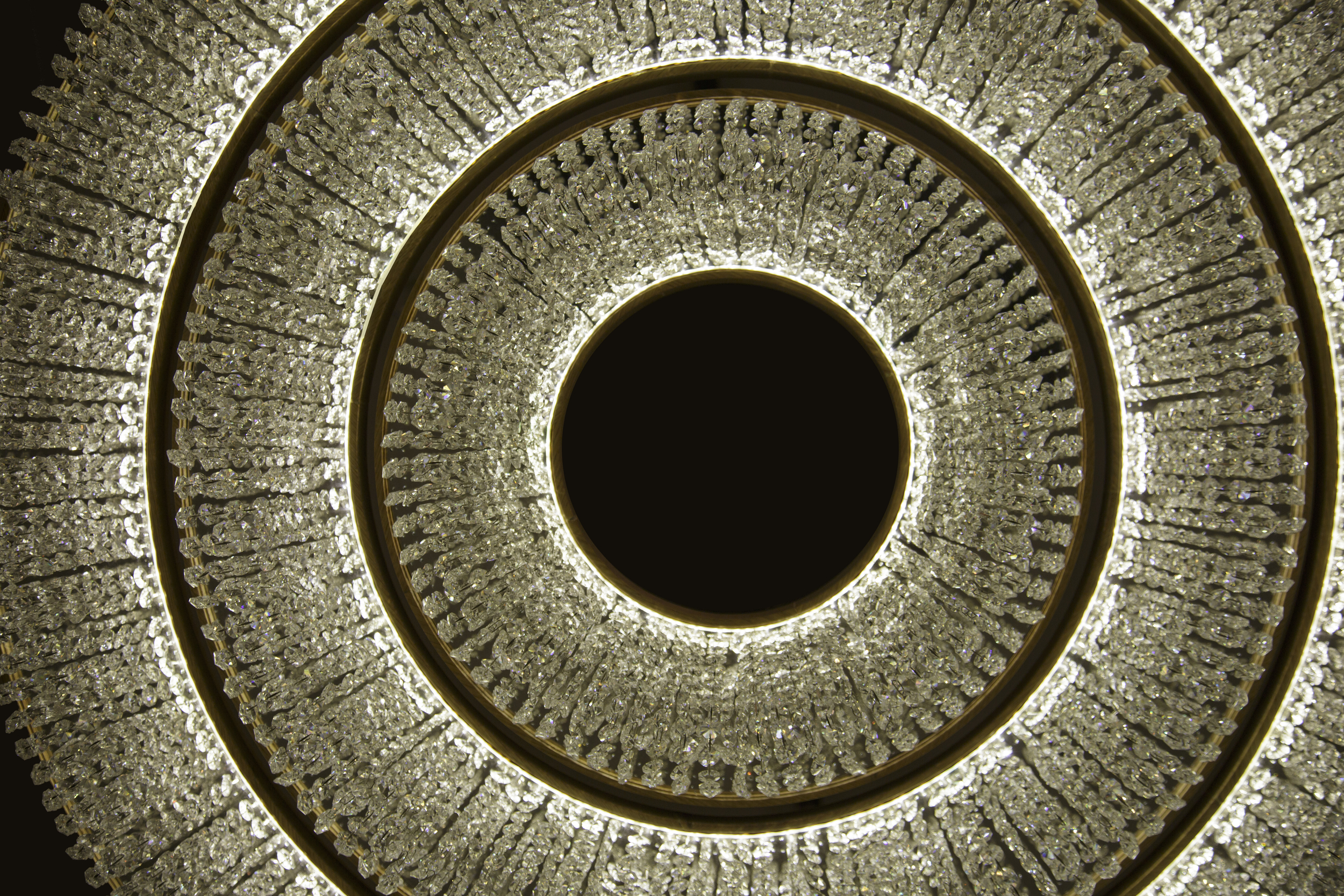 1E7A35562.jpg