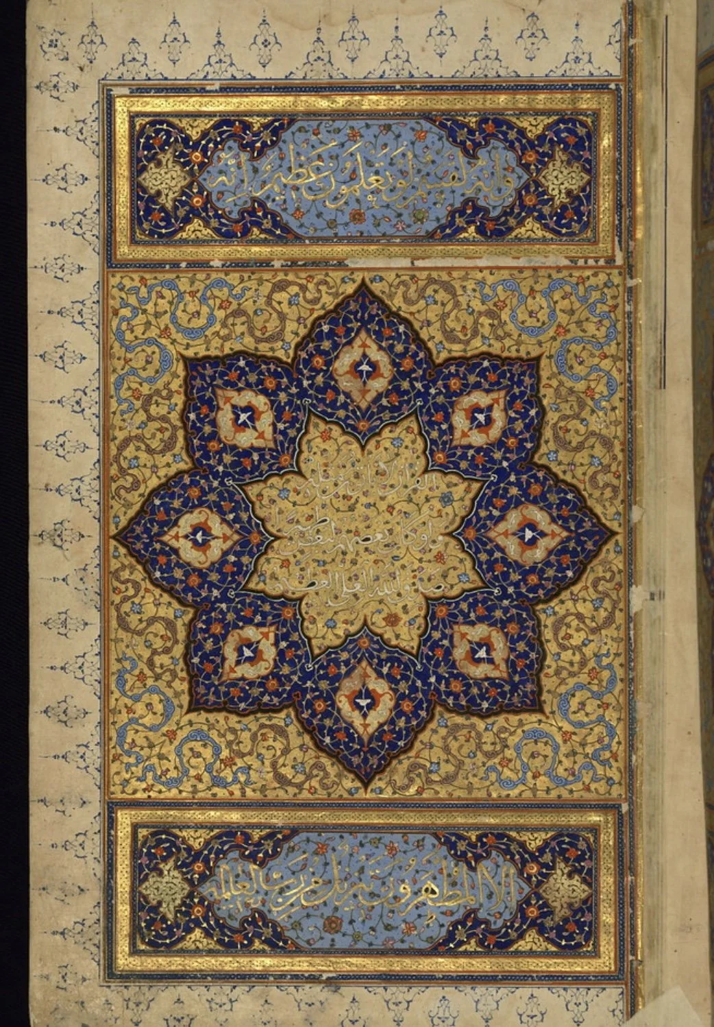 IMG_3703 4.jpg (Copy)