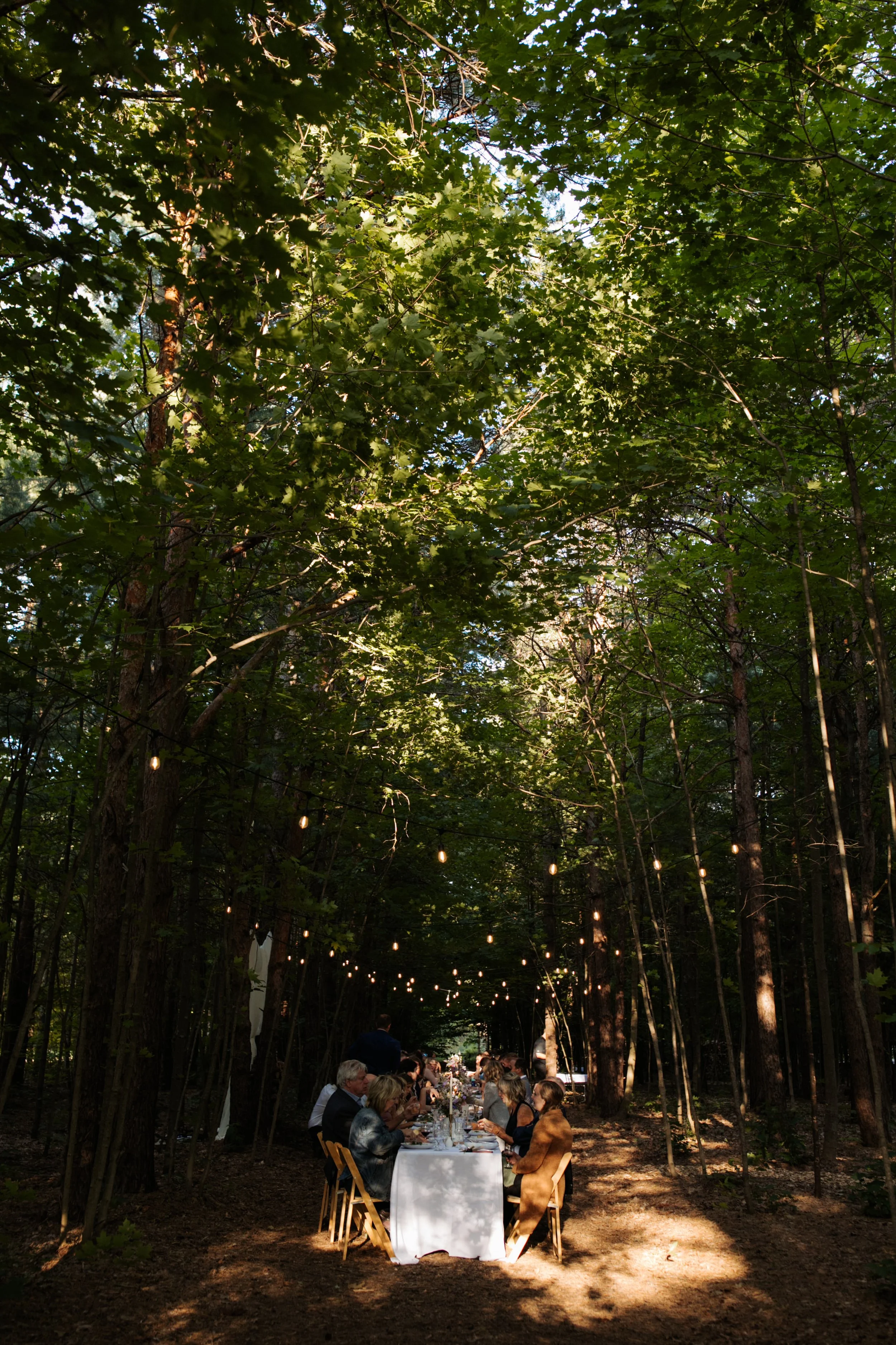 Intimate Wedding in the Woods