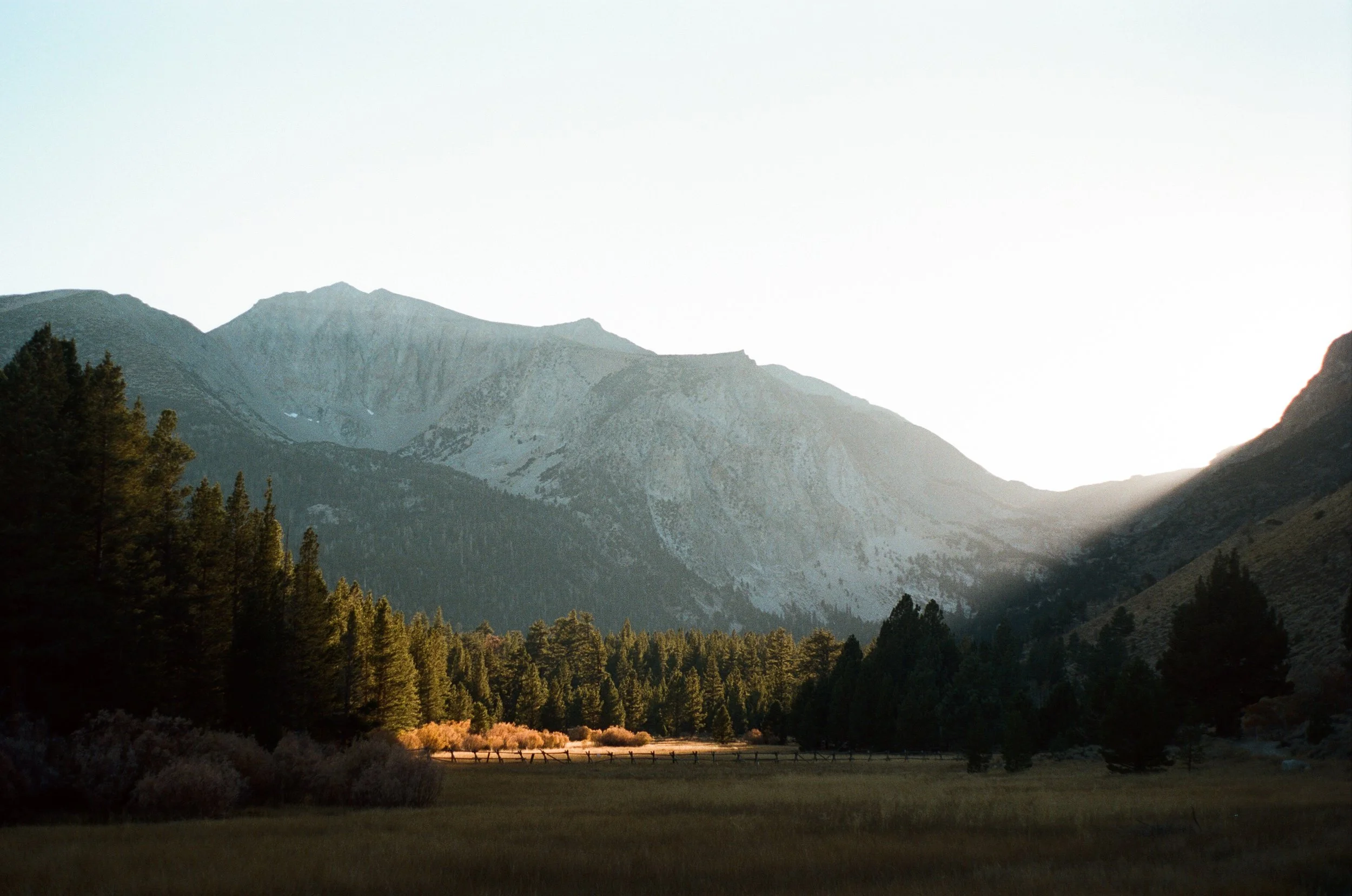 2022_HallieKohlerPortfolio-016.JPG
