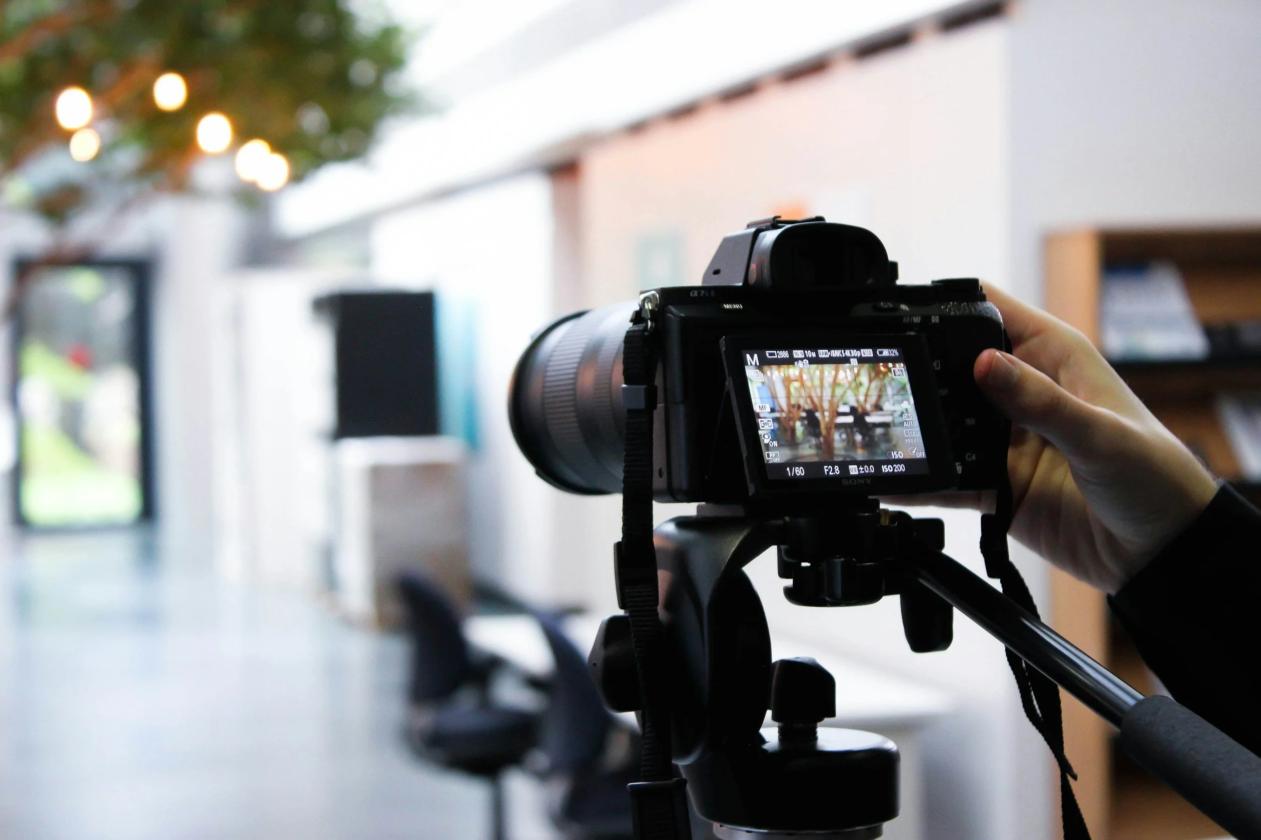 A person holding a camera on a tripod, taking a photograph of a tree and outdoor scene reflected in a mirror.