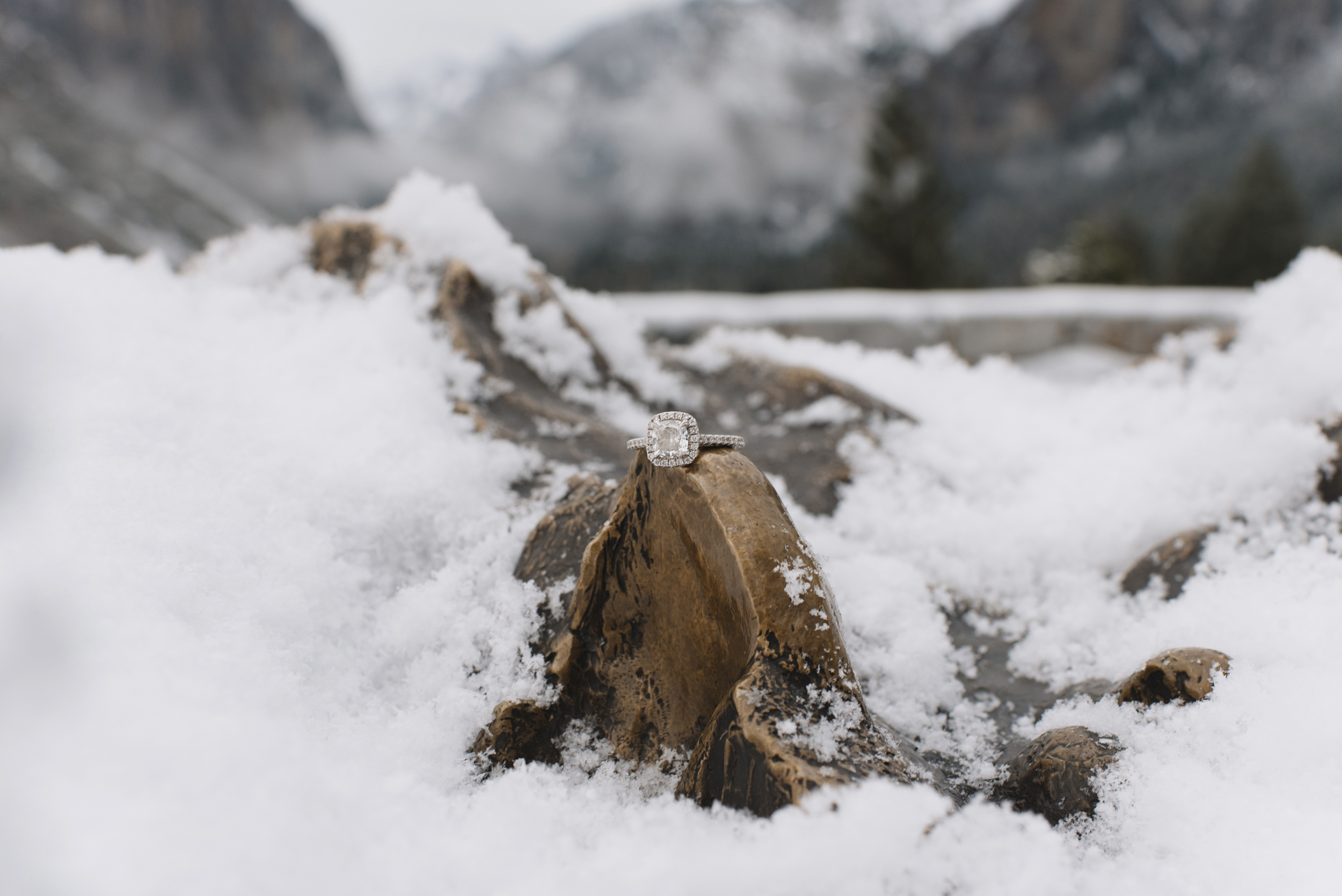 yosemite engagement photographer271.jpg