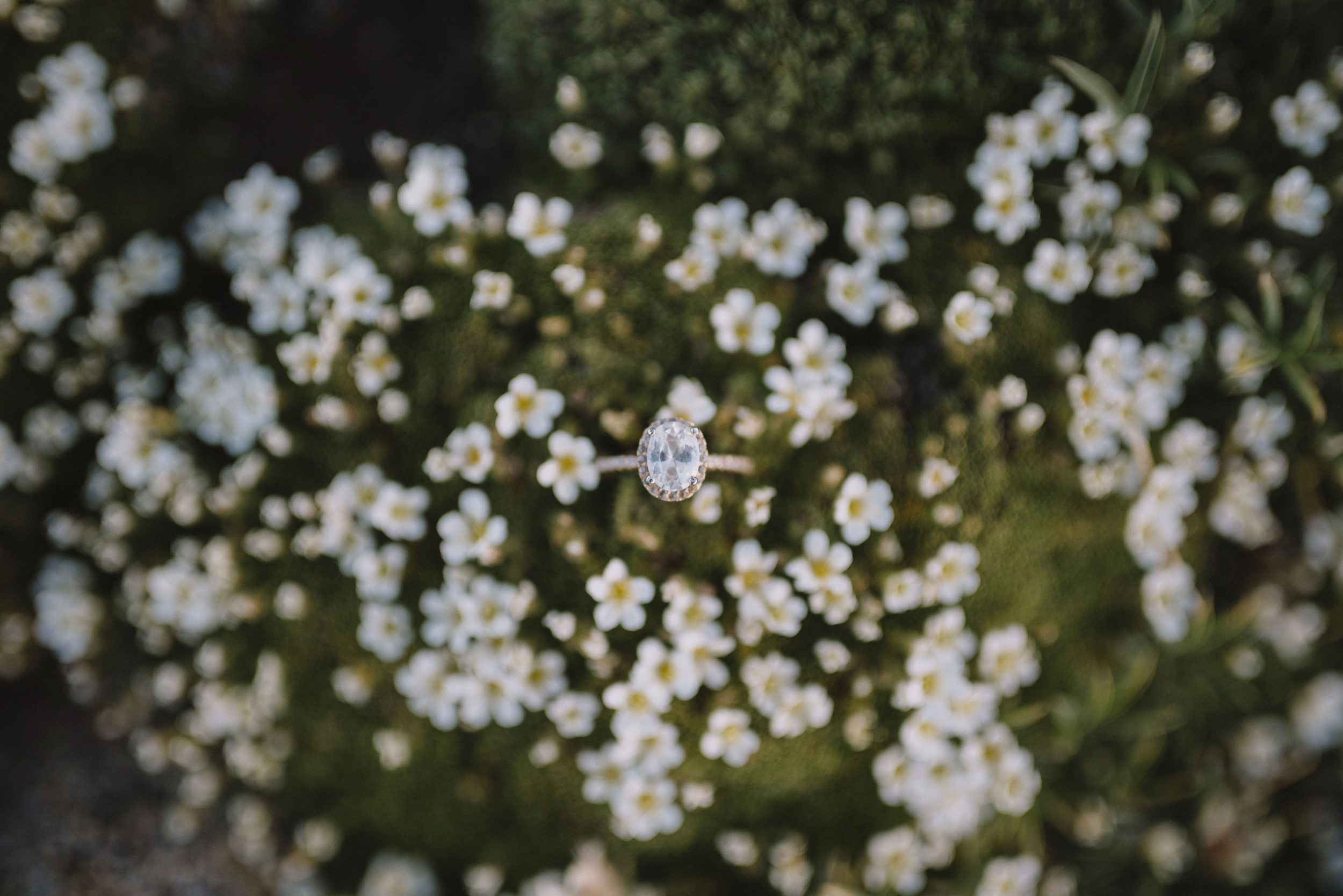 Rocky Mountain National Park Colorado Adventure Engagement Photographer152.jpg