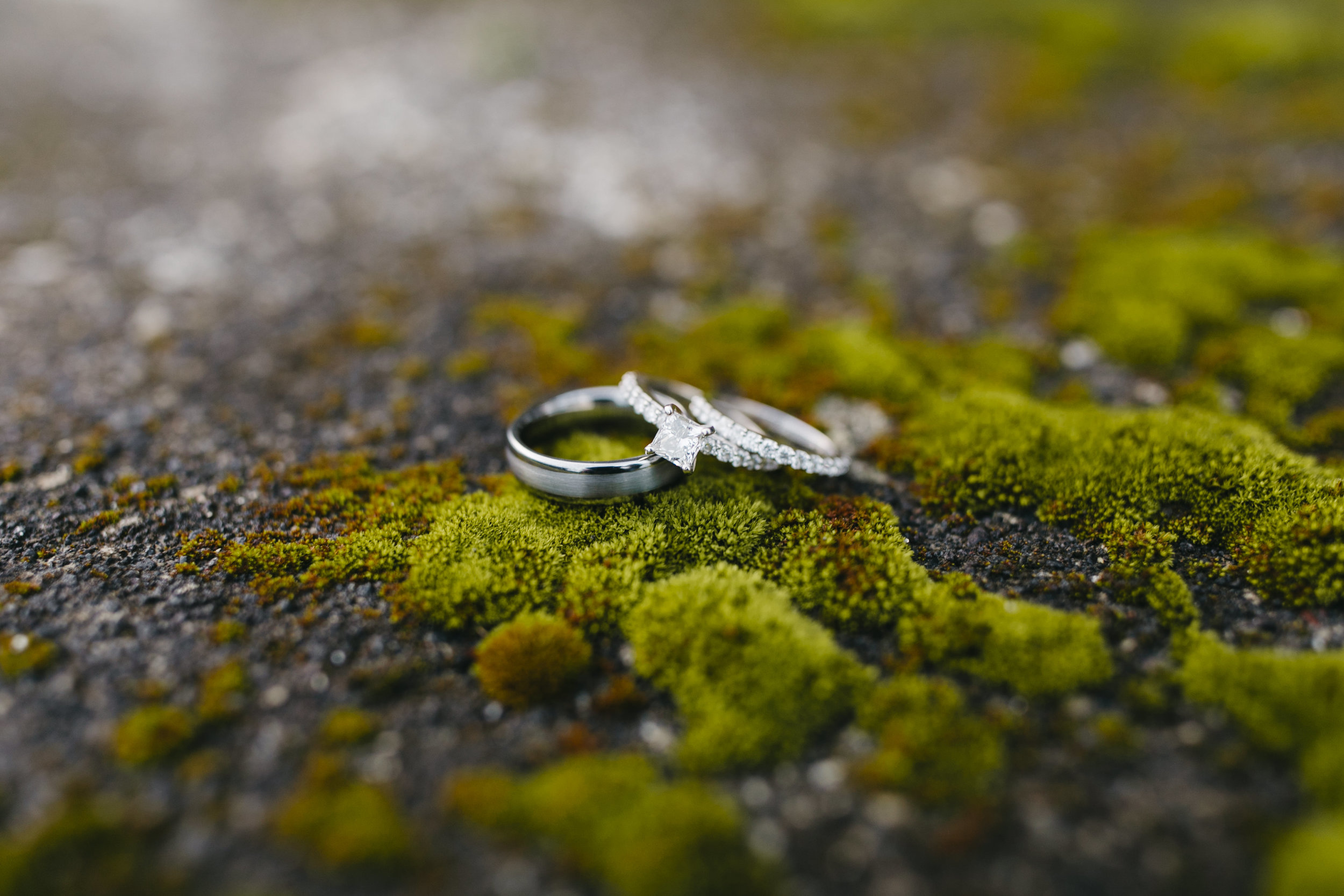 Iceland Elopement photographers Colby and Jess set up a couple's wedding rings on a beautiful bed of moss, colbyandjess.com