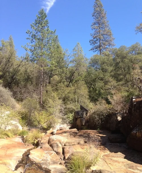 2014-10-10 13.59.17.jpg