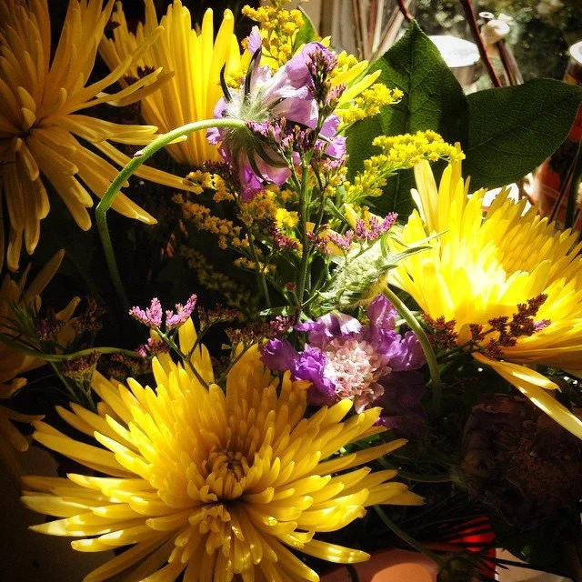 The flowers are blooming, yogis!