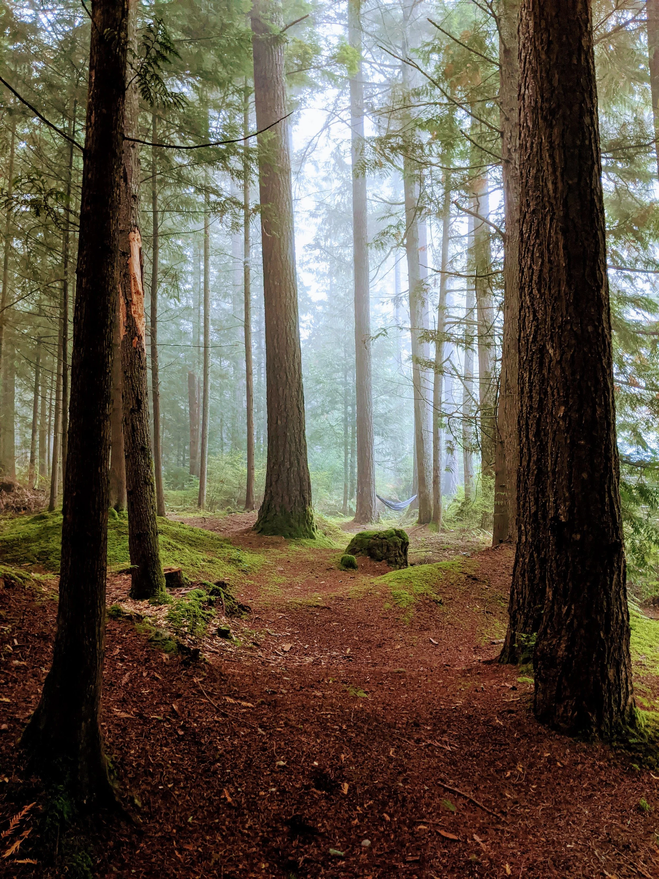 What hiking teaches me