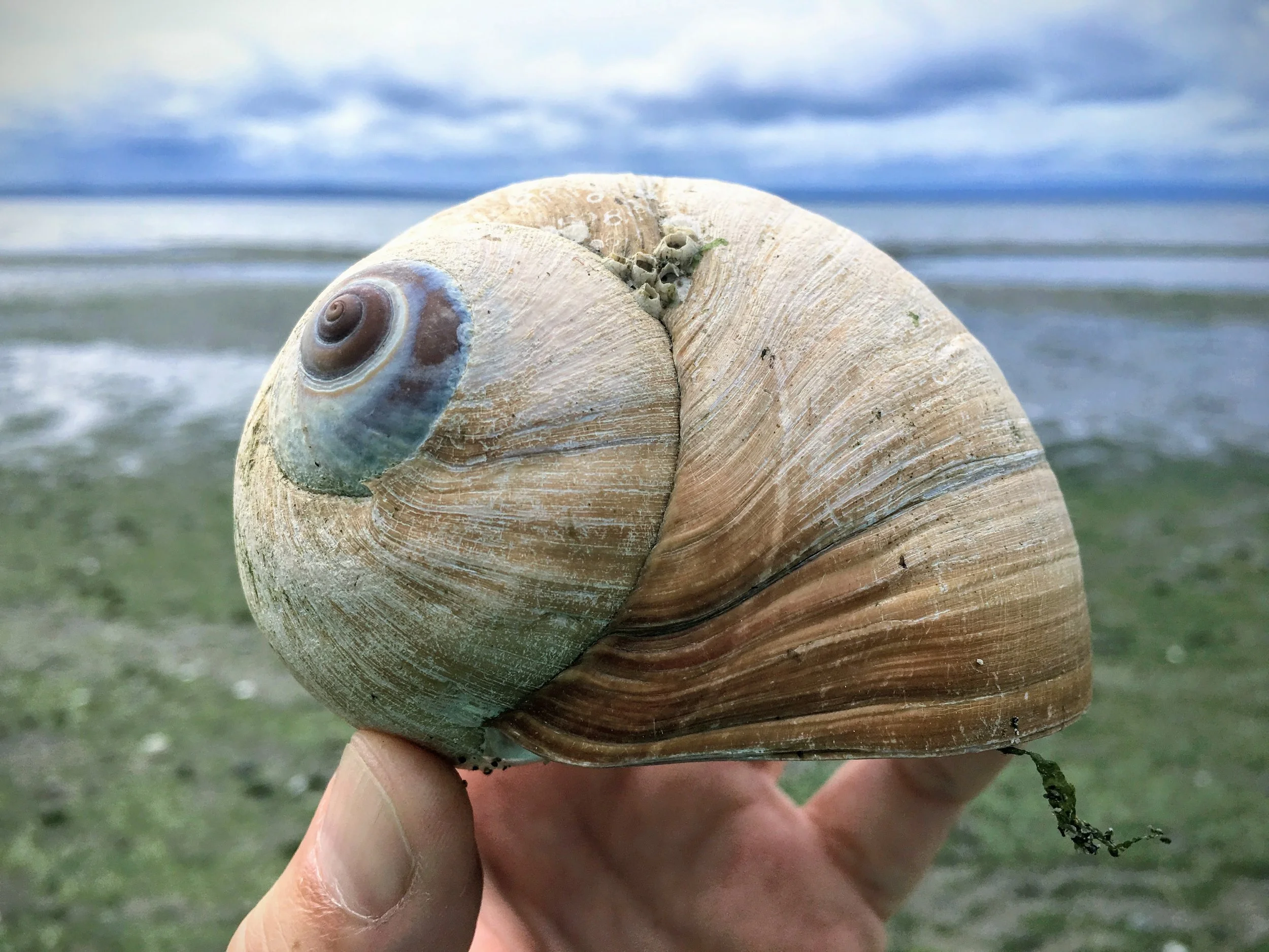 The value of deep listening