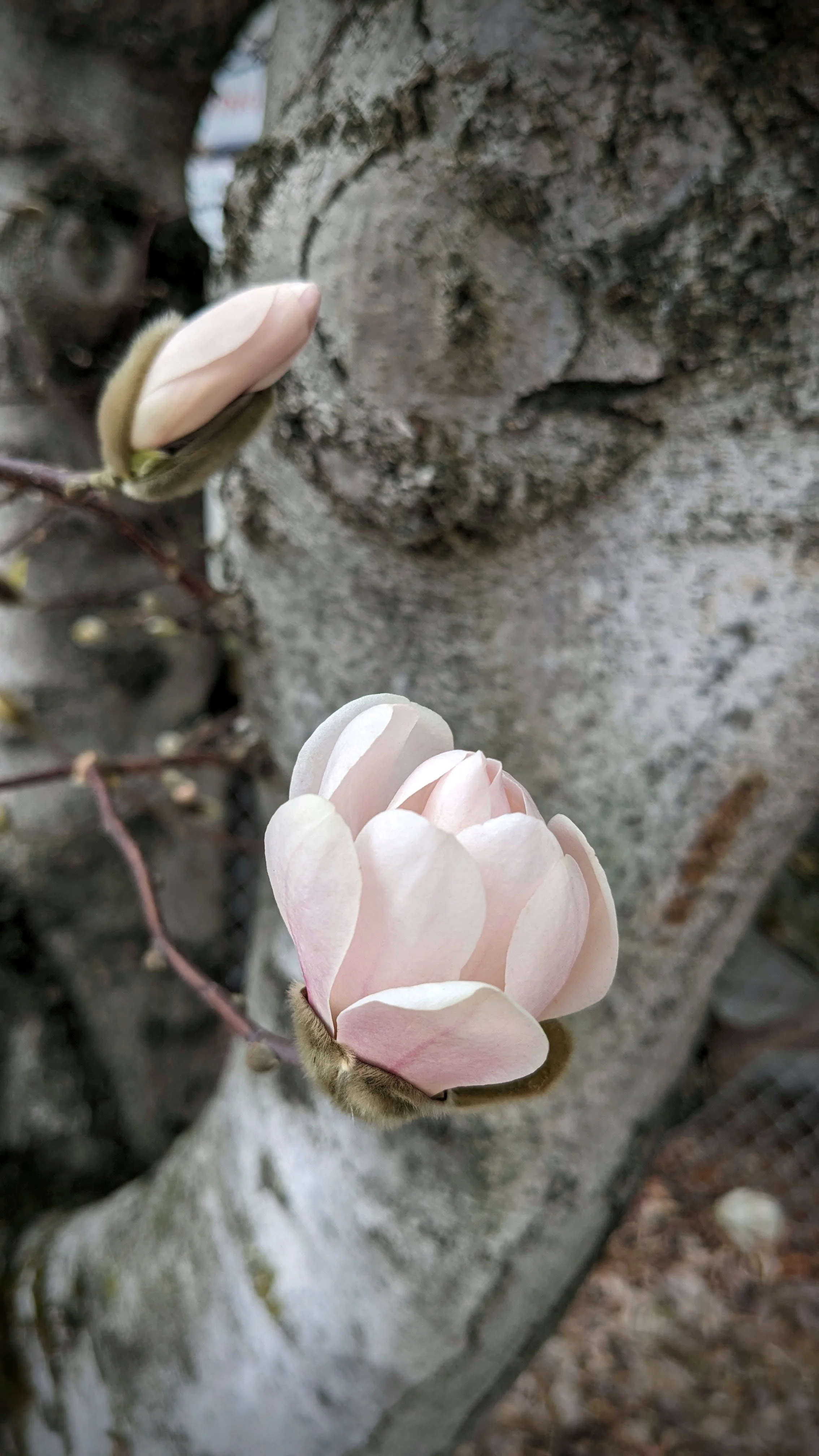The power of stillness