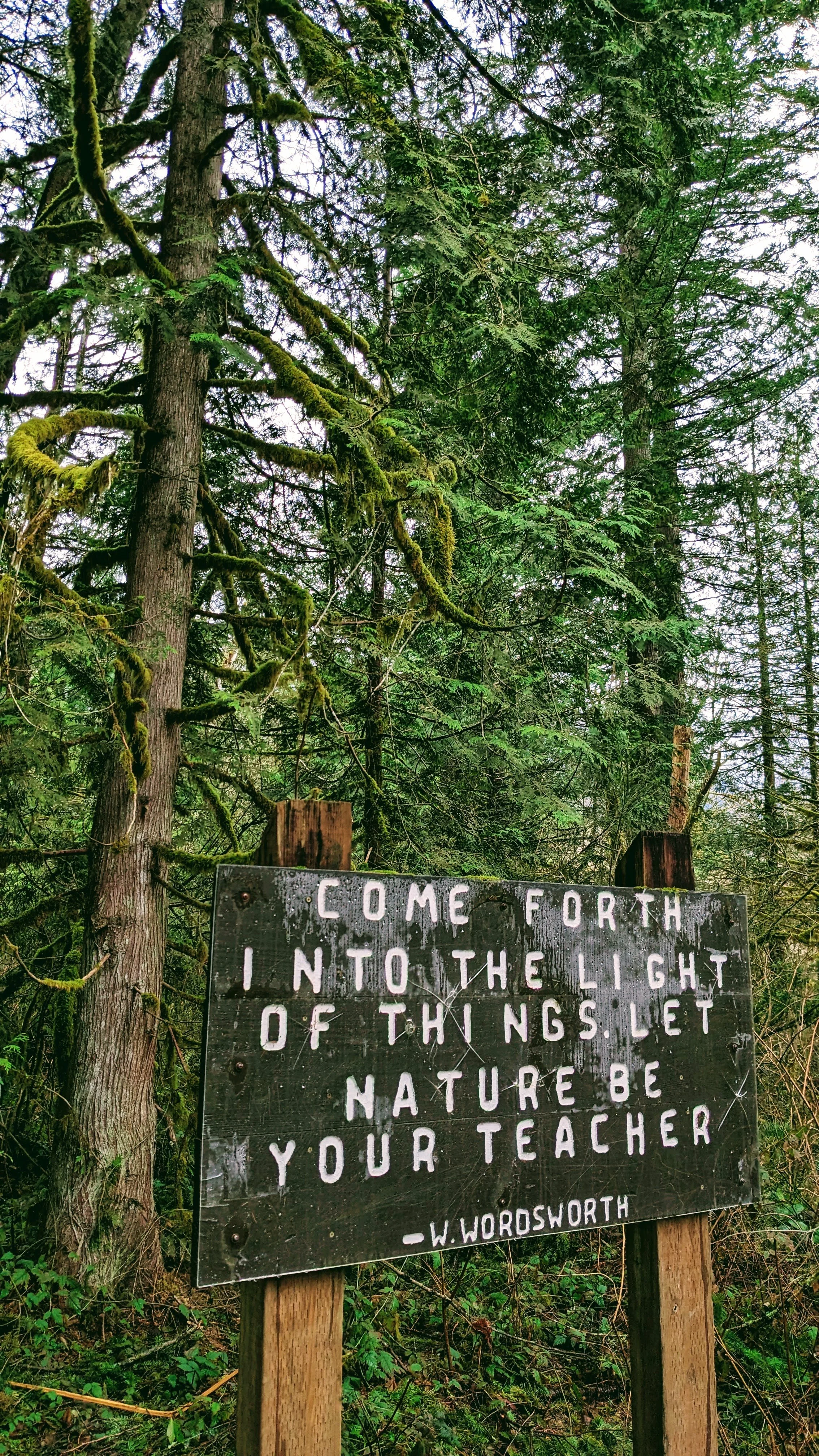 Book recommendation for your summer reading list!