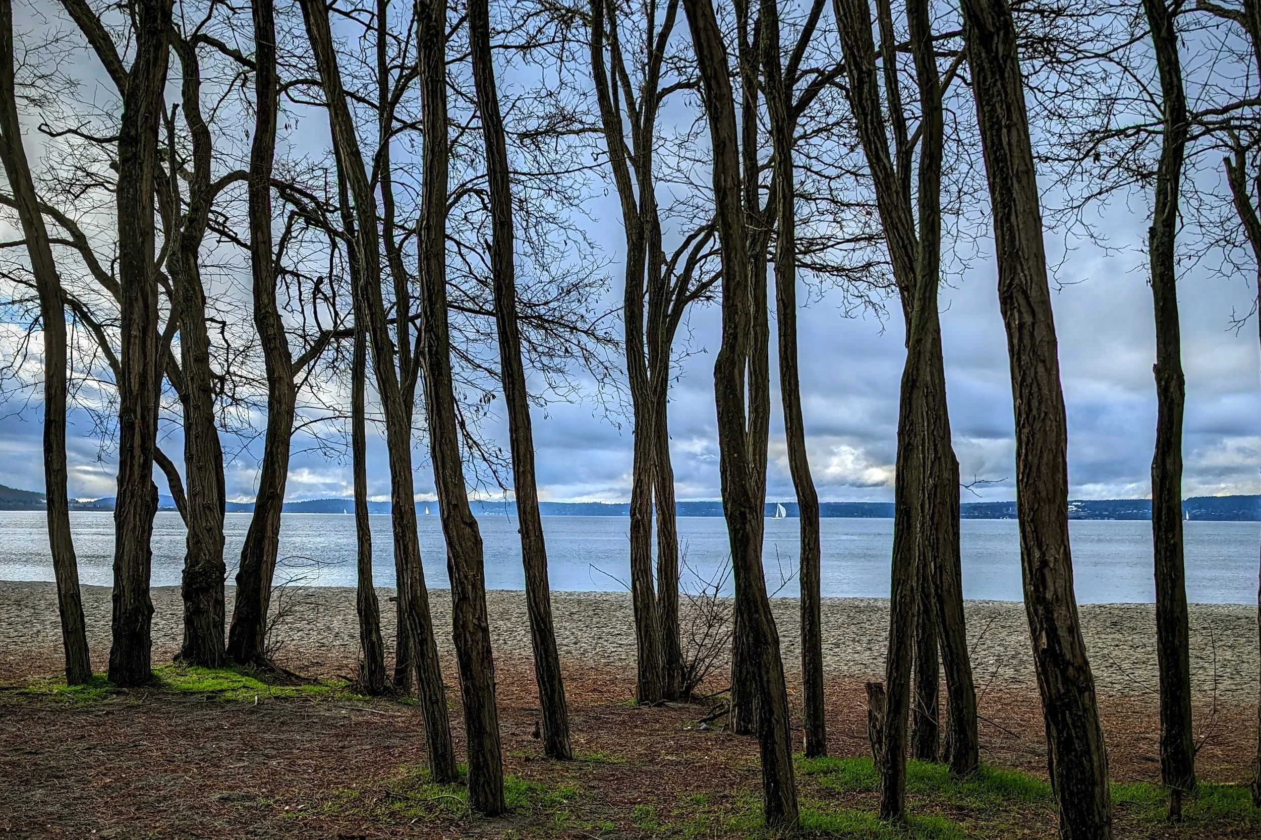 A Photo, a Quote, &amp; a Recipe