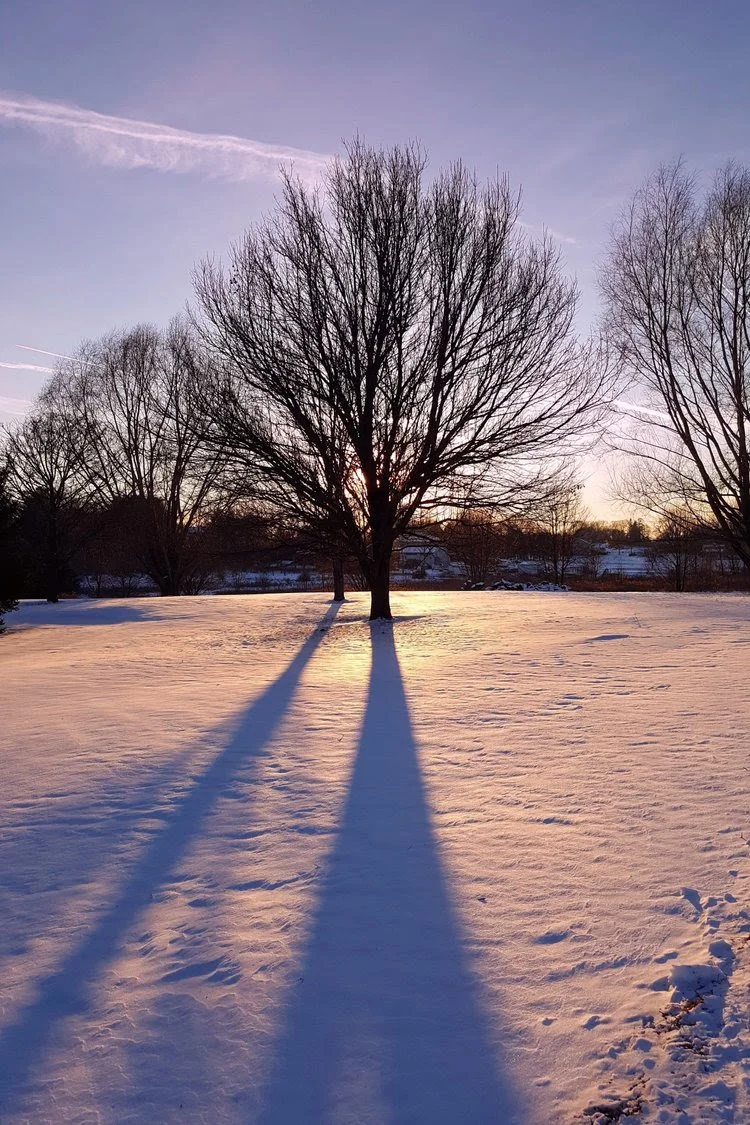 Reflections for The Dark Season