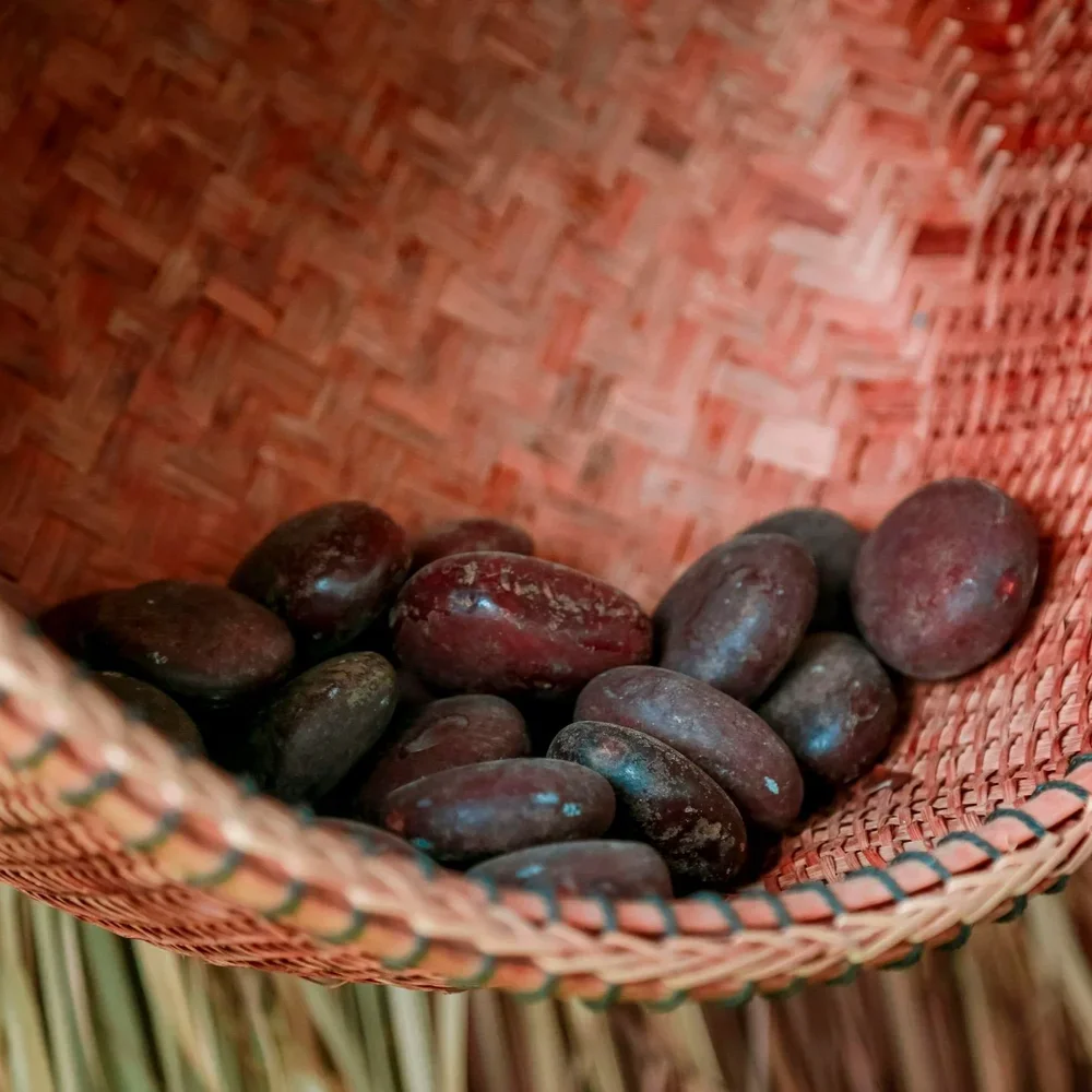 The Reset Circle | February Reset: Yoga Therapy + Cacao