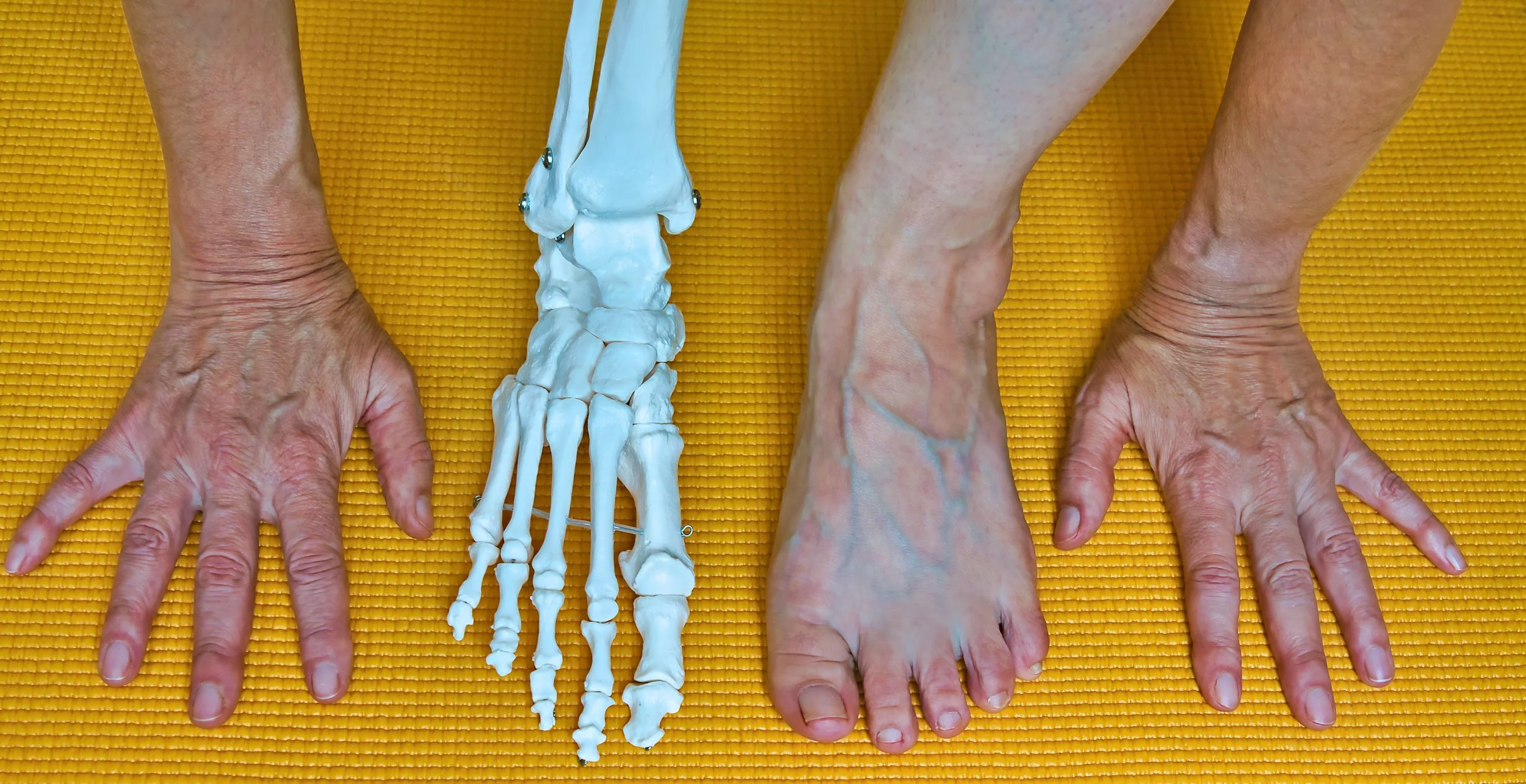 [TBA - Save the Date] Yoga Therapy Workshop: Hands &amp; Feet