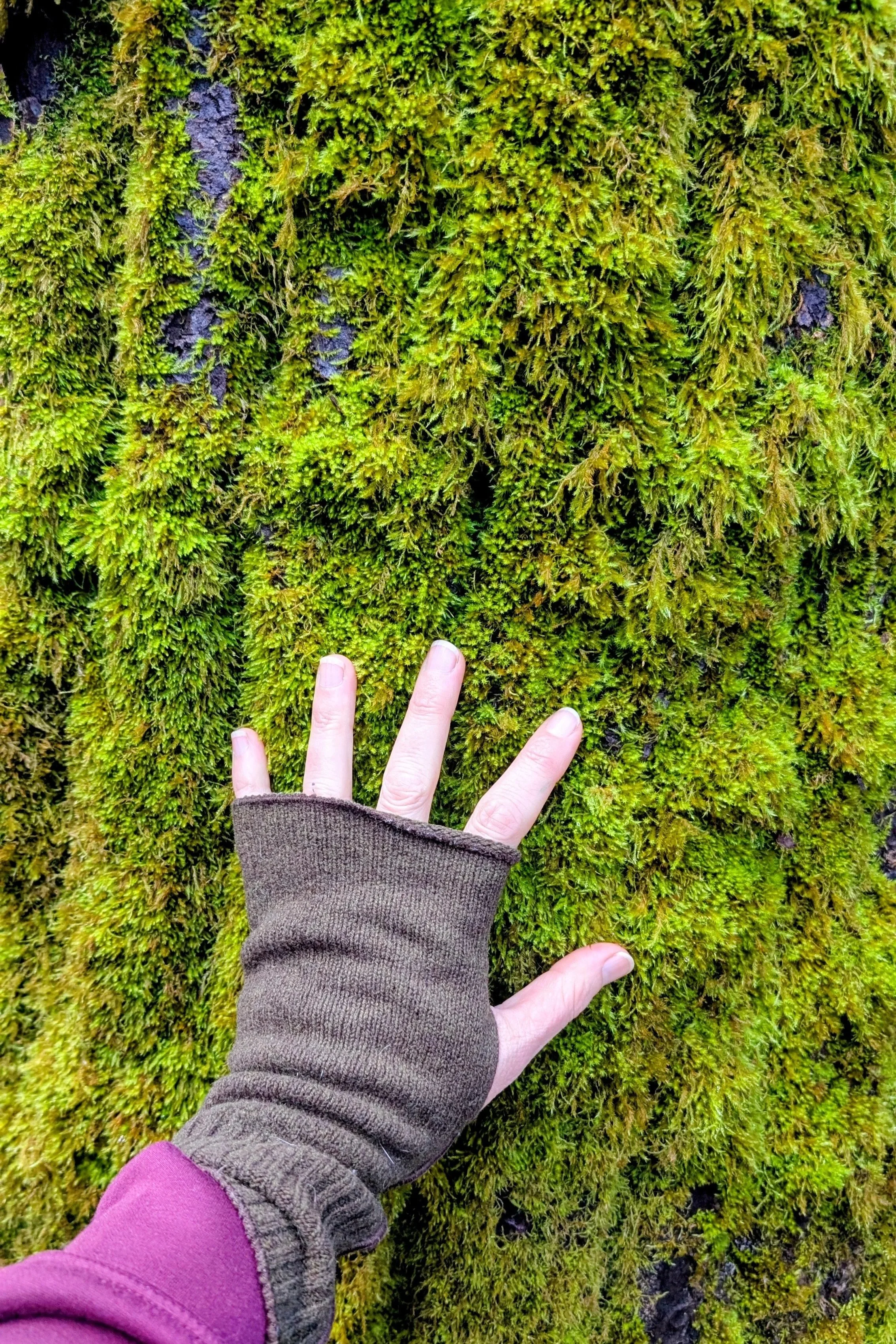 Partially gloved hand pressing into thick green moss on a tree