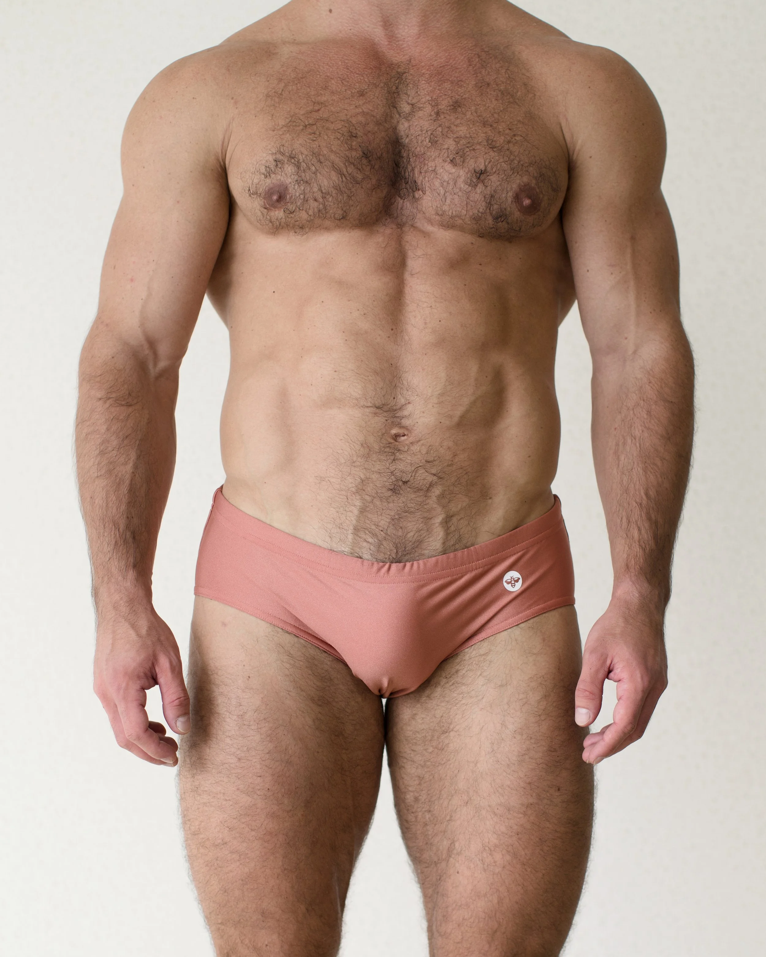 St. George Brief.jpg