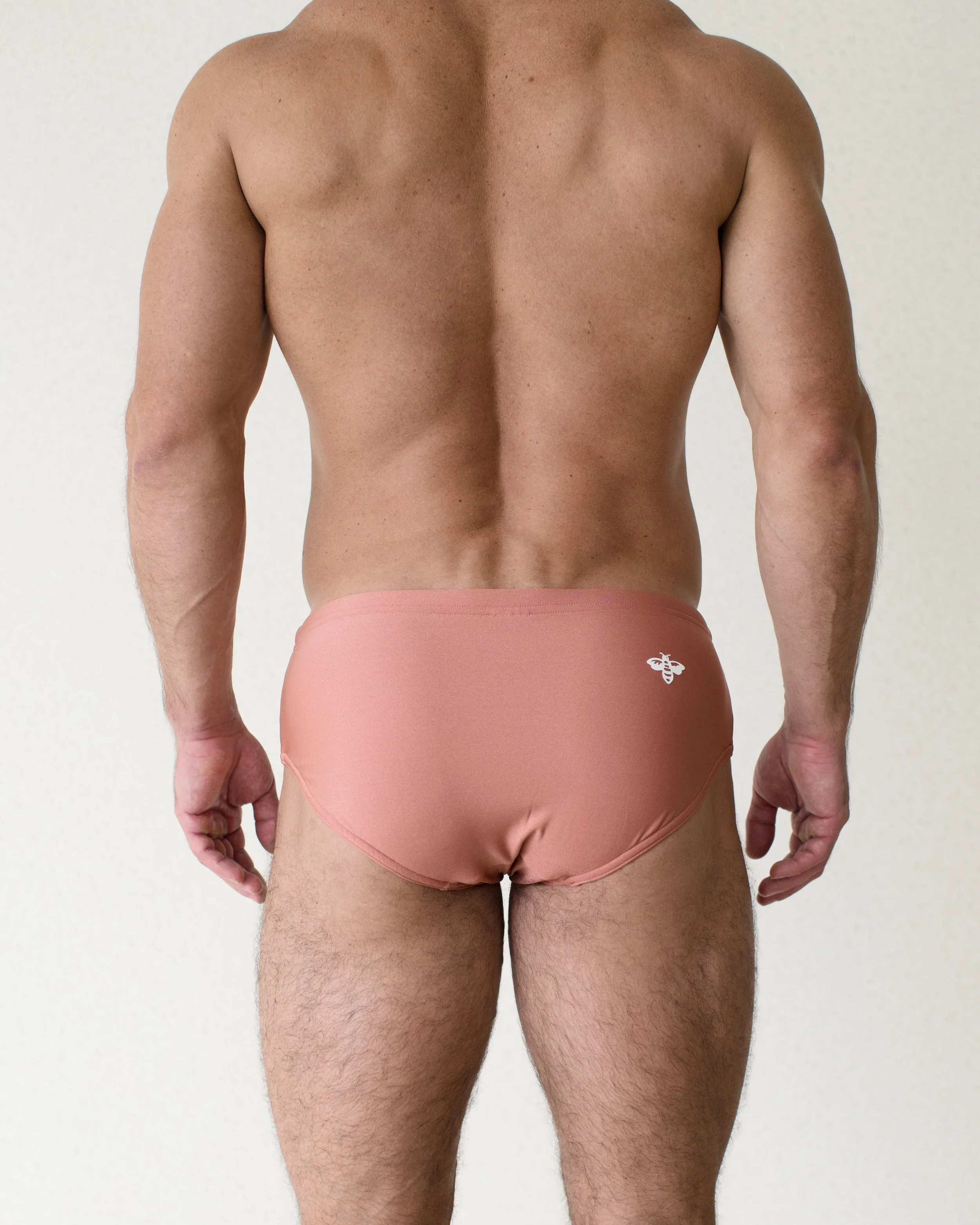 St. George Brief...jpg