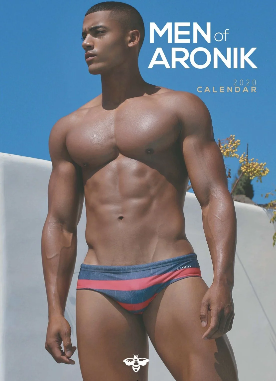 2020 Calendar Men of Aronik
