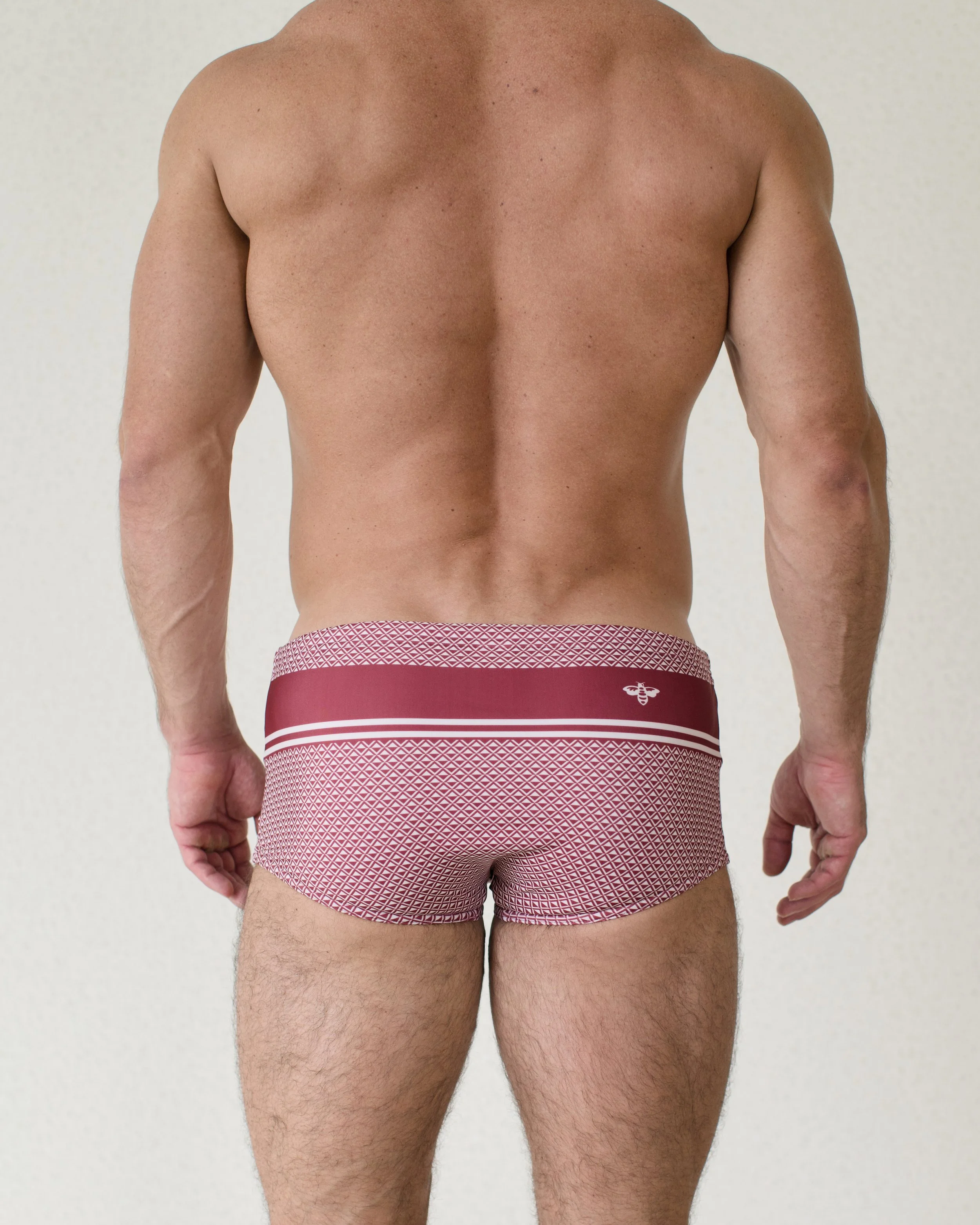 Bastion Cerezo Sunga...jpg