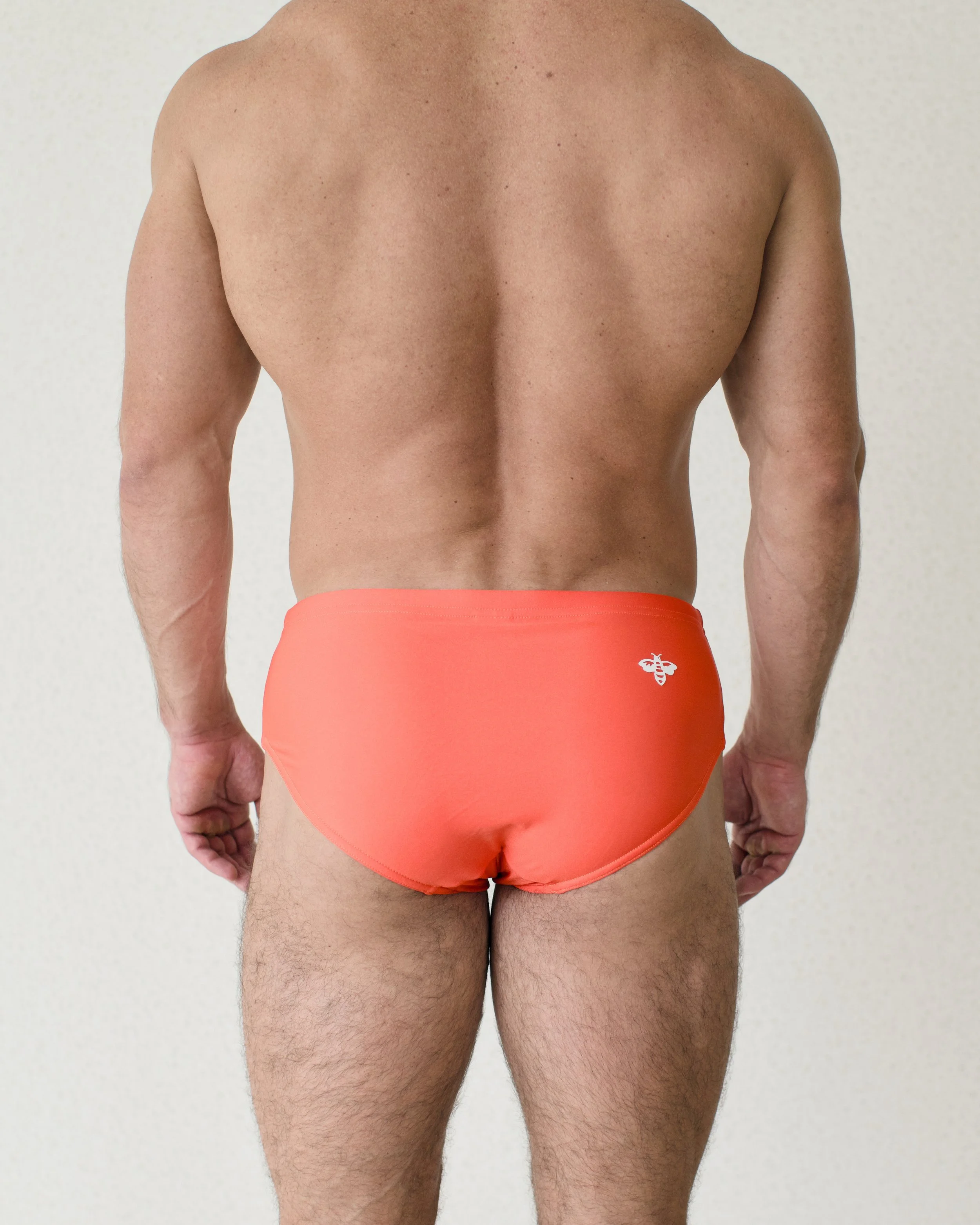 Bryce Canyon Brief...jpg