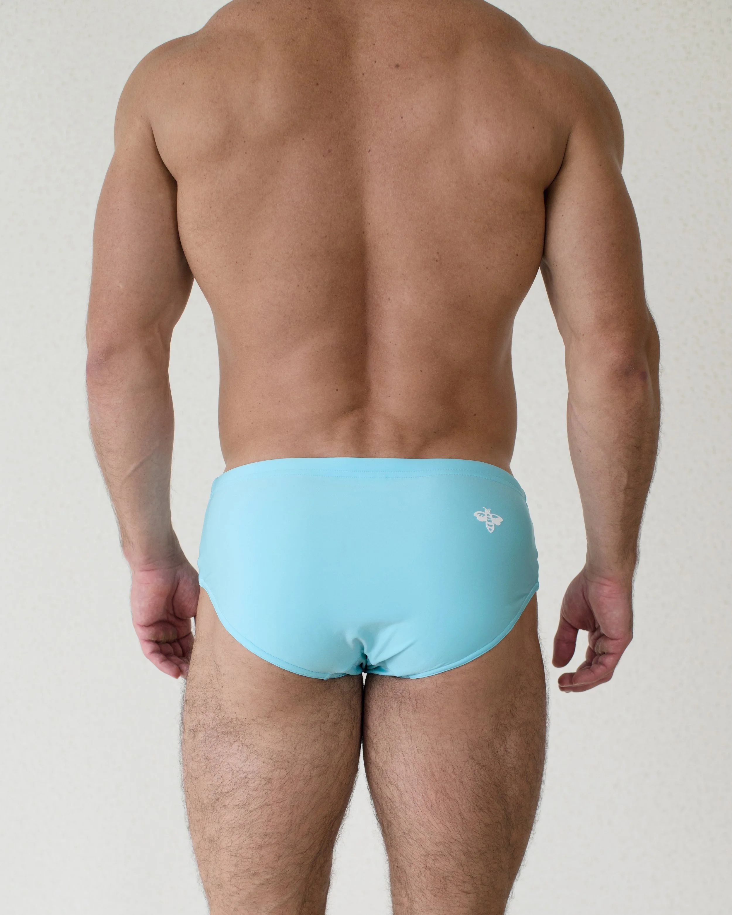 Monteciello Brief...jpg