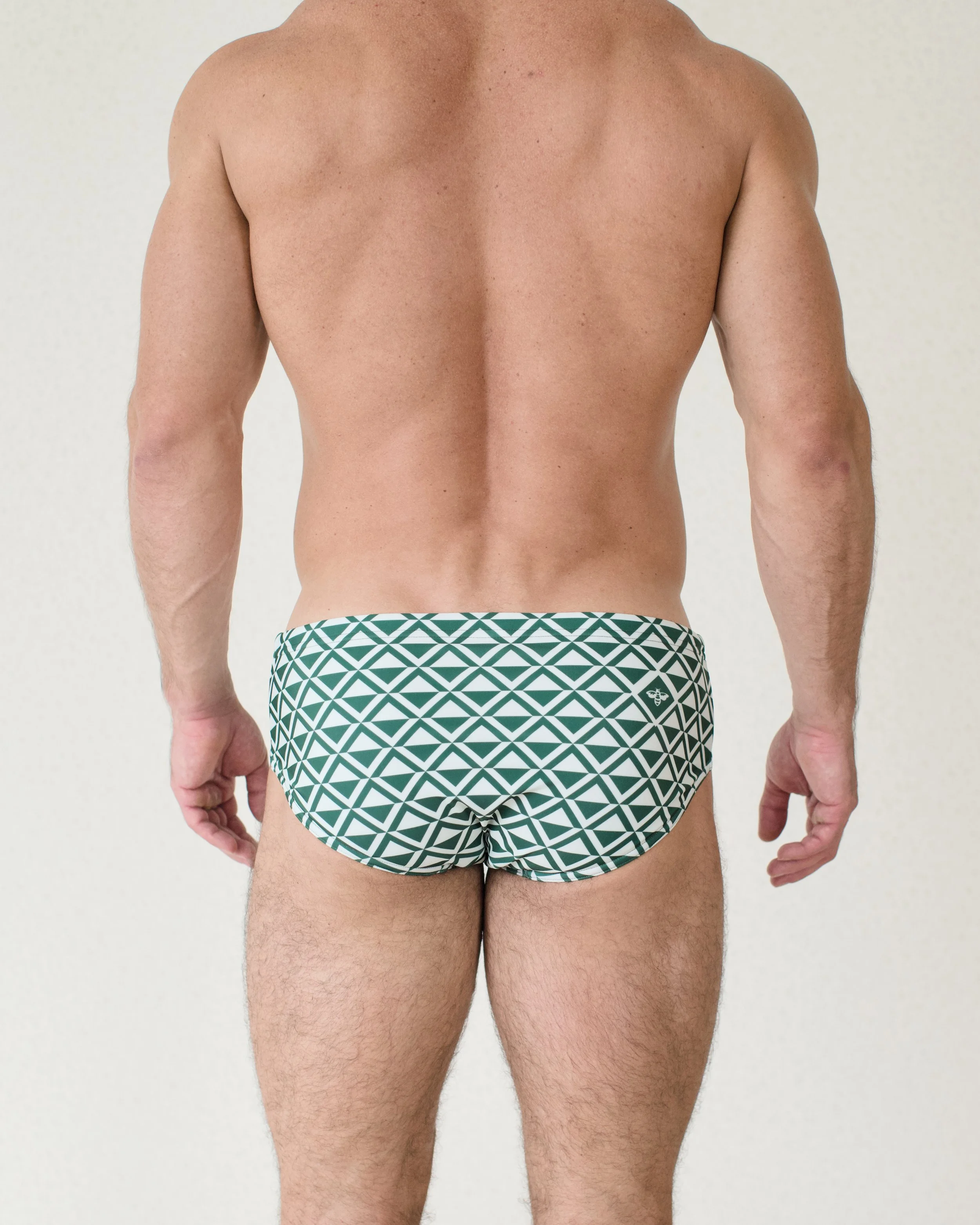 Mint Paradigm Breif...jpg