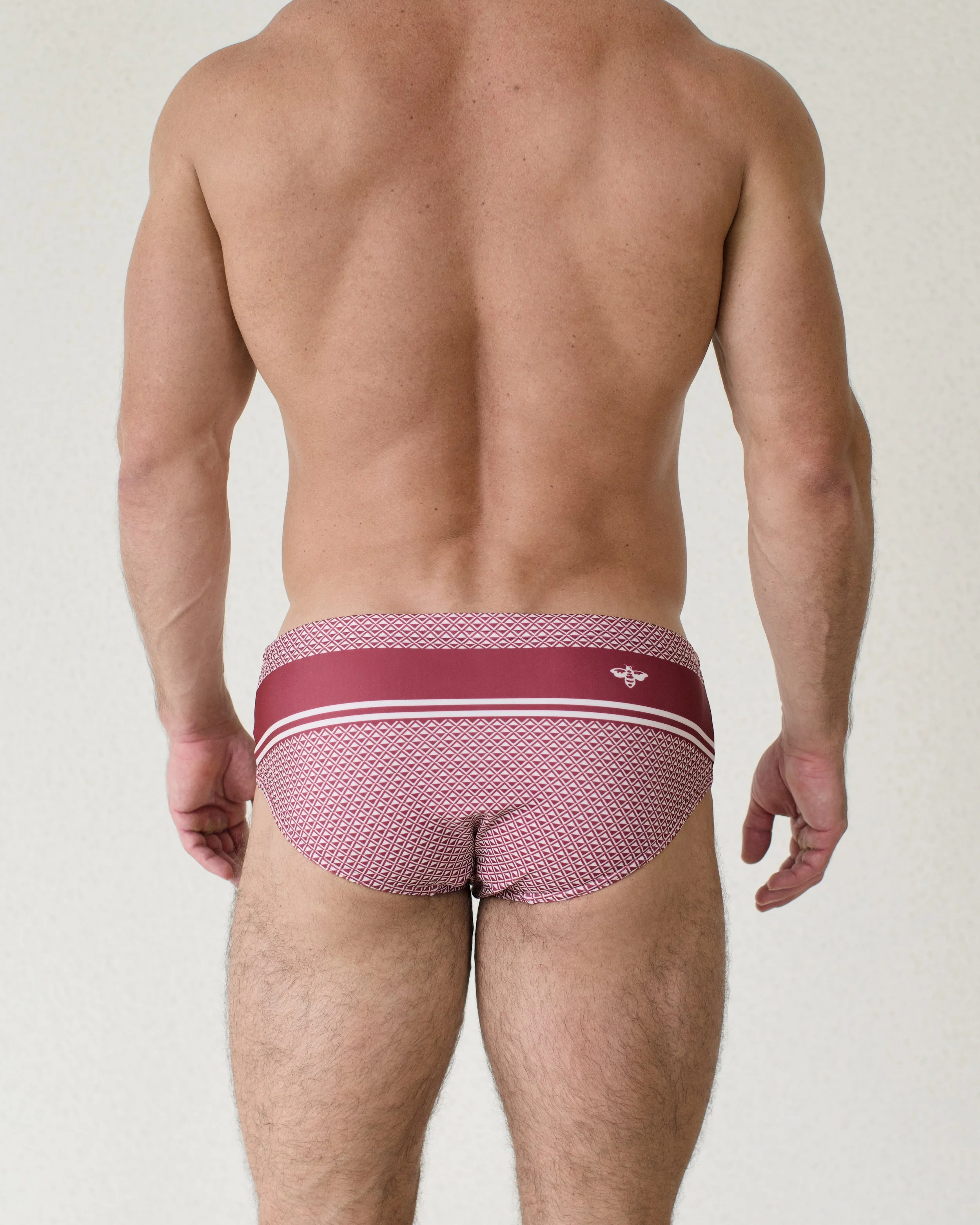 Bastion Cerezo Brief...jpg