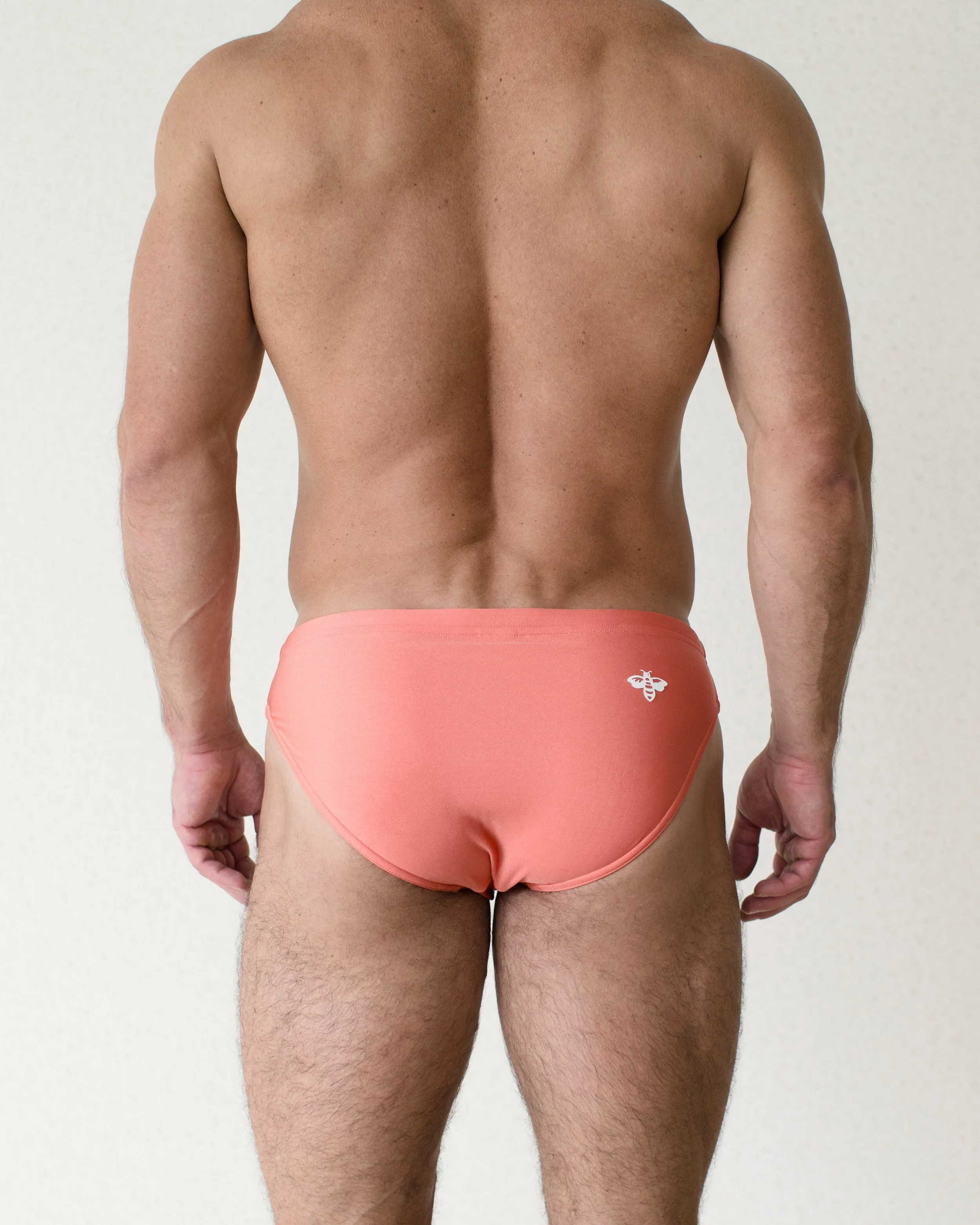 Capitol Reef Bikini...jpg