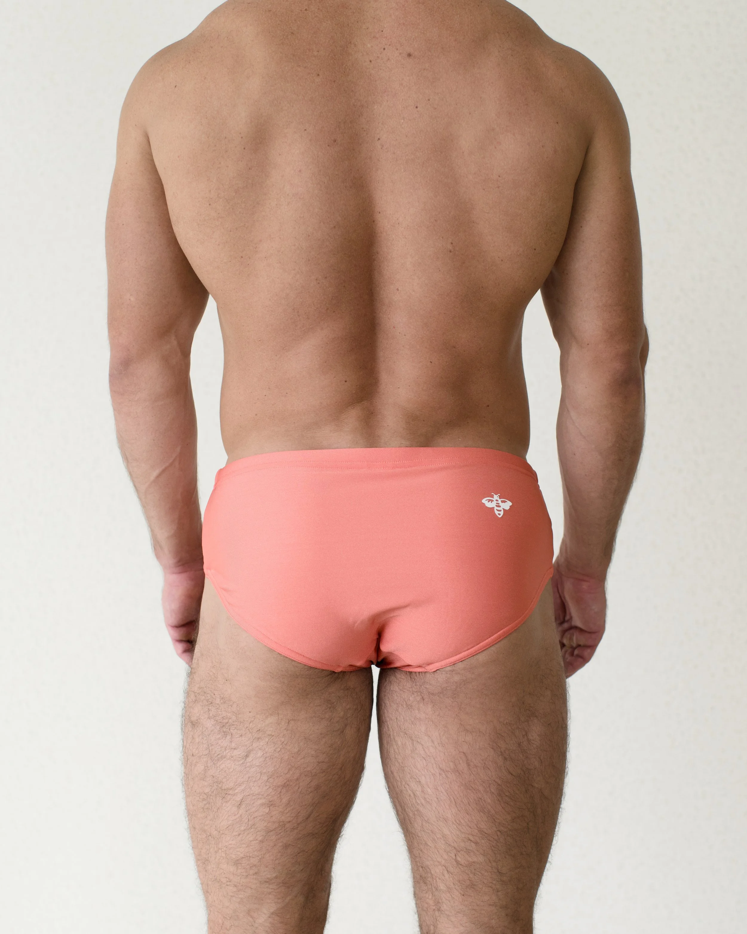 Capitol Reef Brief...jpg