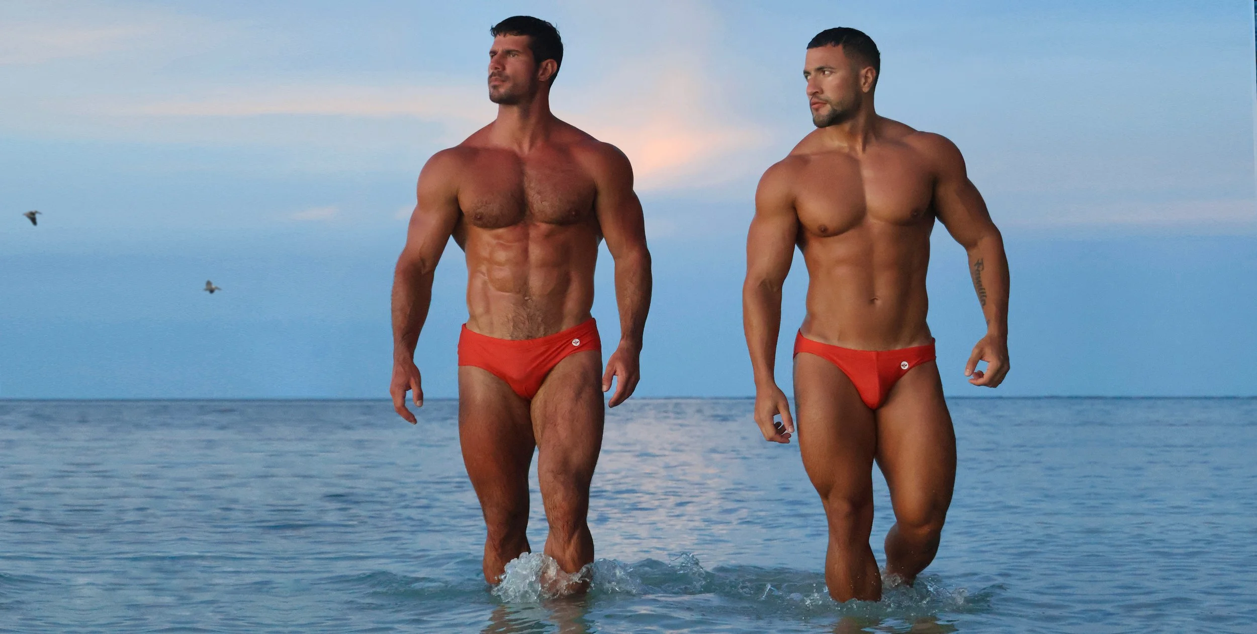 COVER WEB PAGE_final.jpeg