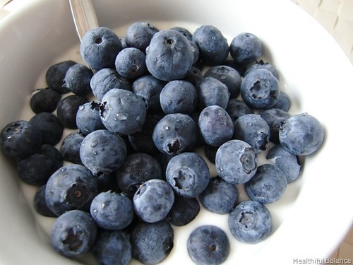 Blueberries & Yogurt