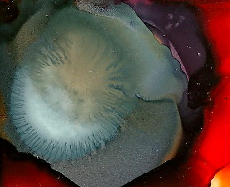 SCAN0152.JPG