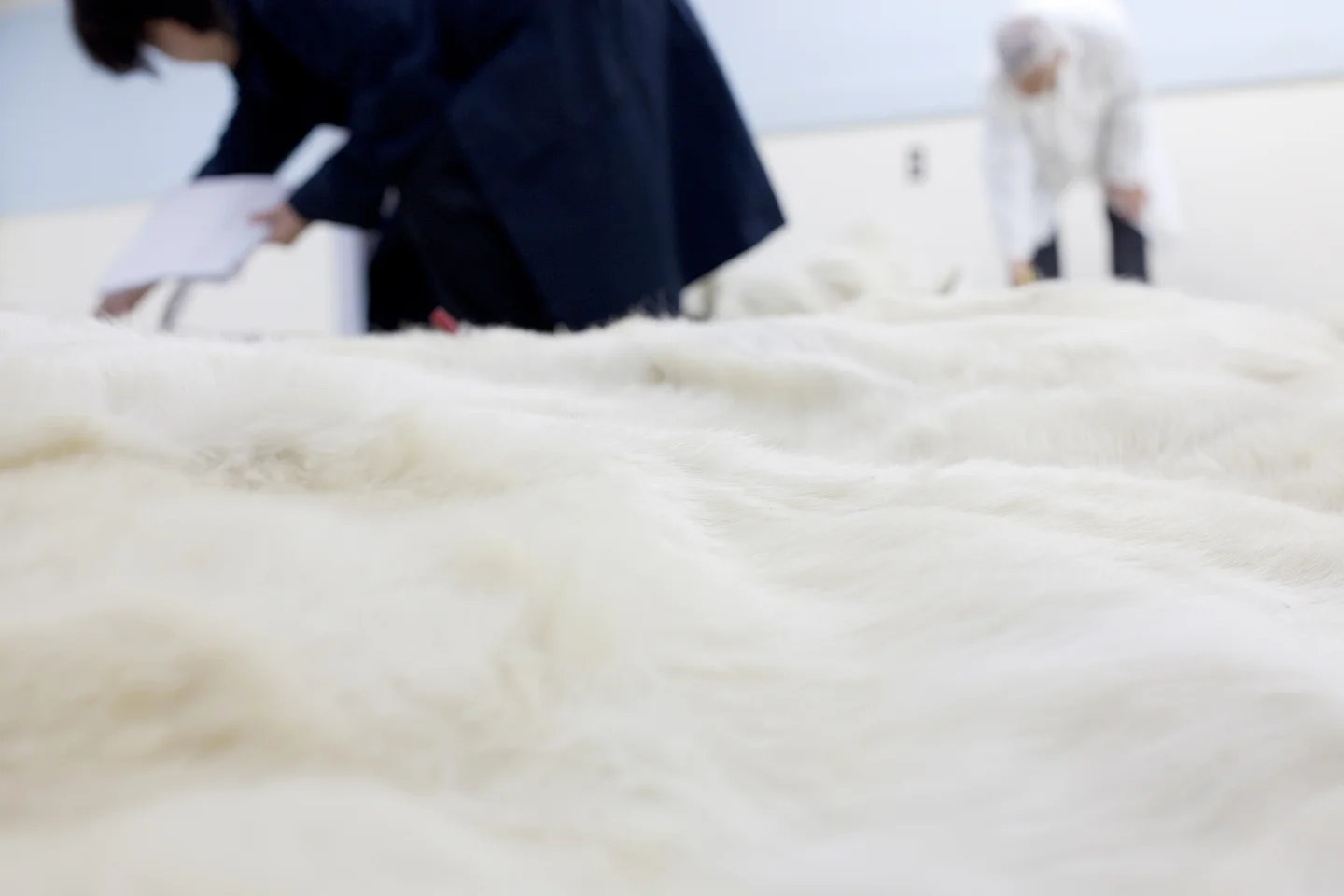 The Fur Trade