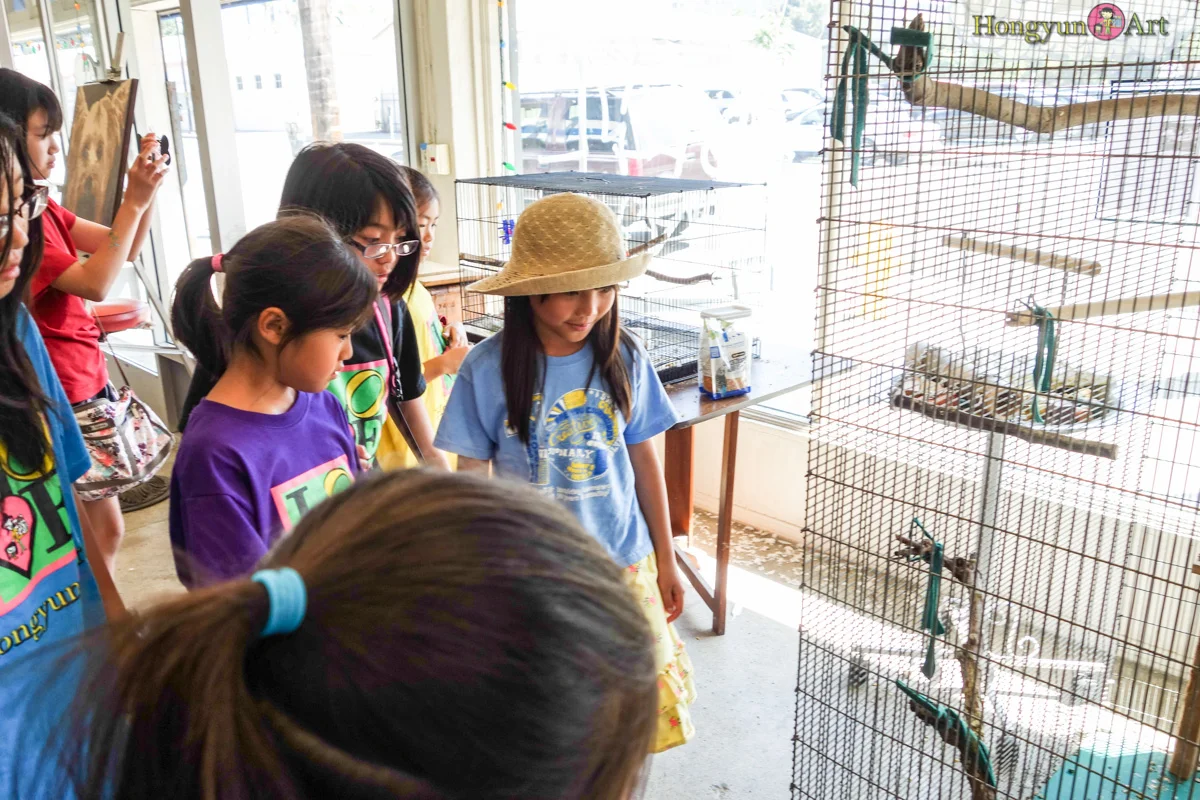 We're at Andy's Pet Shop!