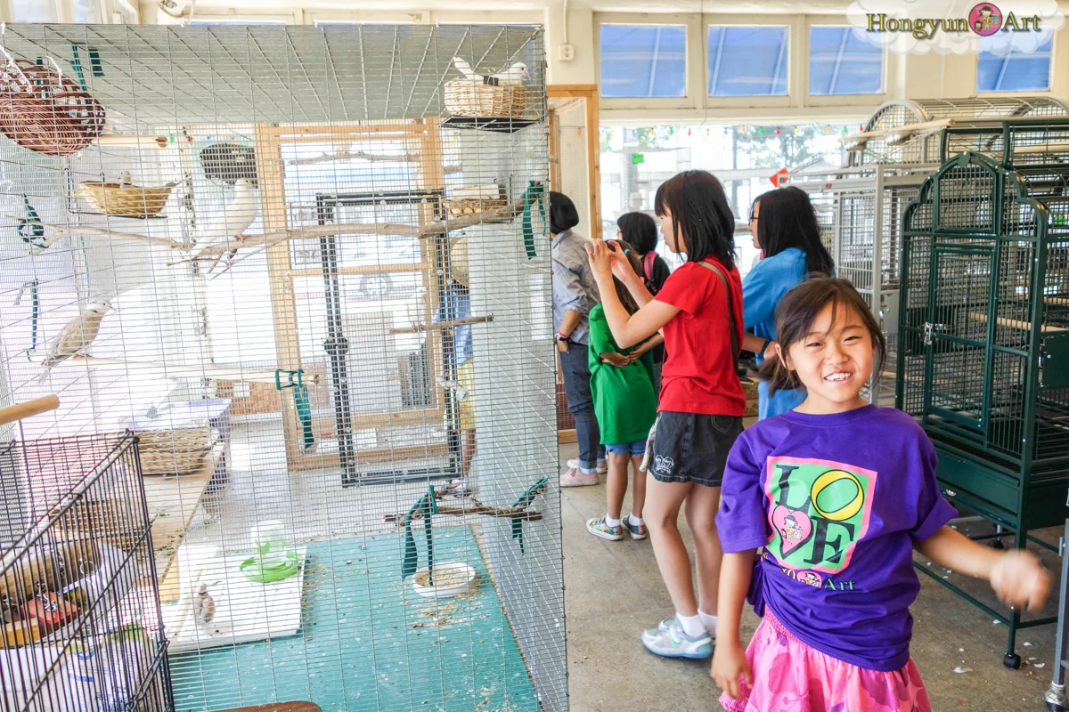 20130708-HYA-Summer-Camp-ArtExplorers-03023.jpg