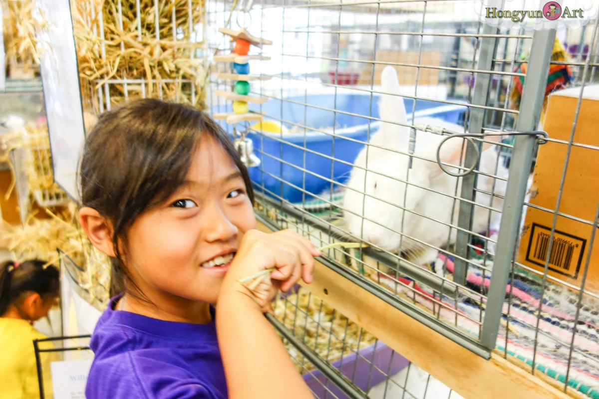 20130708-HYA-Summer-Camp-ArtExplorers-03066.jpg