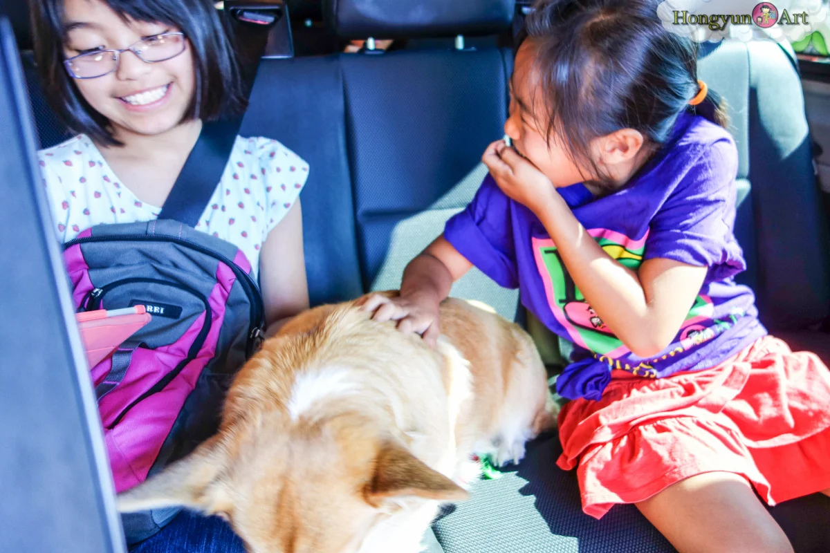 20130708-HYA-Summer-Camp-ArtExplorers-03089.jpg