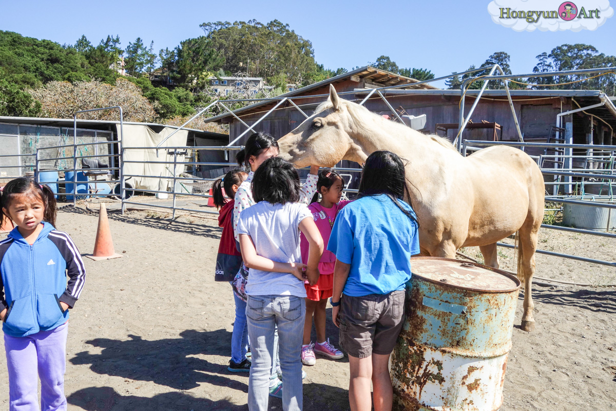 20130708-HYA-Summer-Camp-ArtExplorers-03393.jpg