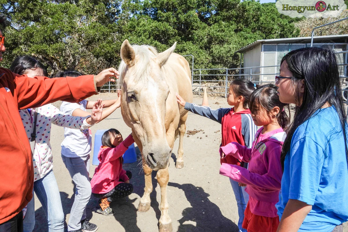 20130708-HYA-Summer-Camp-ArtExplorers-03415.jpg