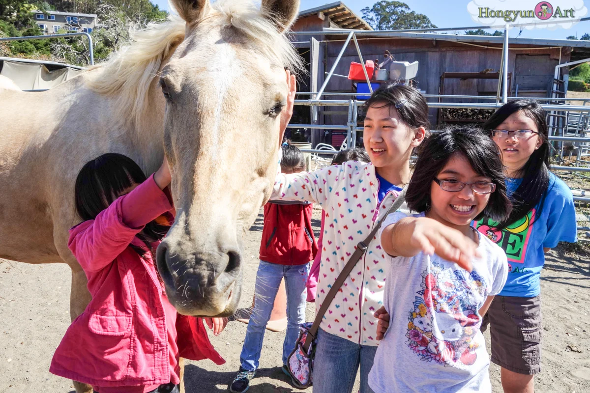 20130708-HYA-Summer-Camp-ArtExplorers-03424.jpg