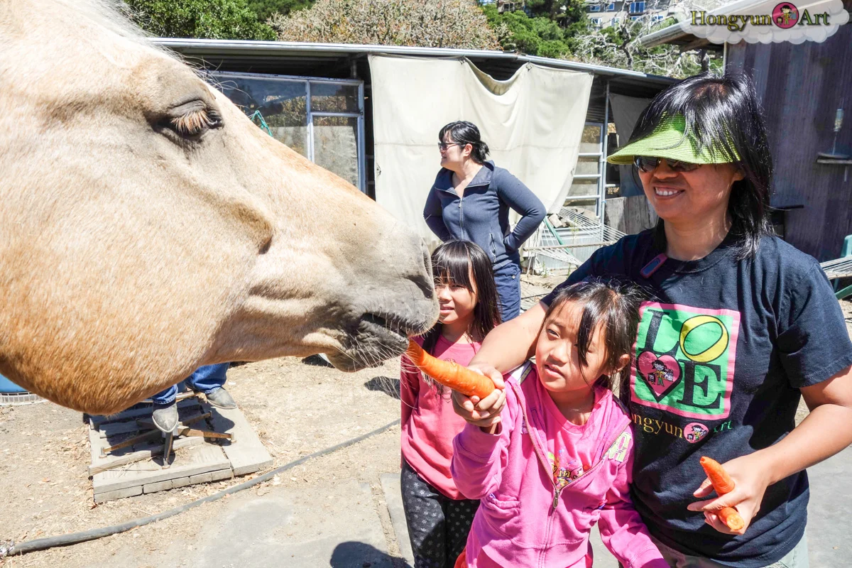 20130708-HYA-Summer-Camp-ArtExplorers-03562.jpg