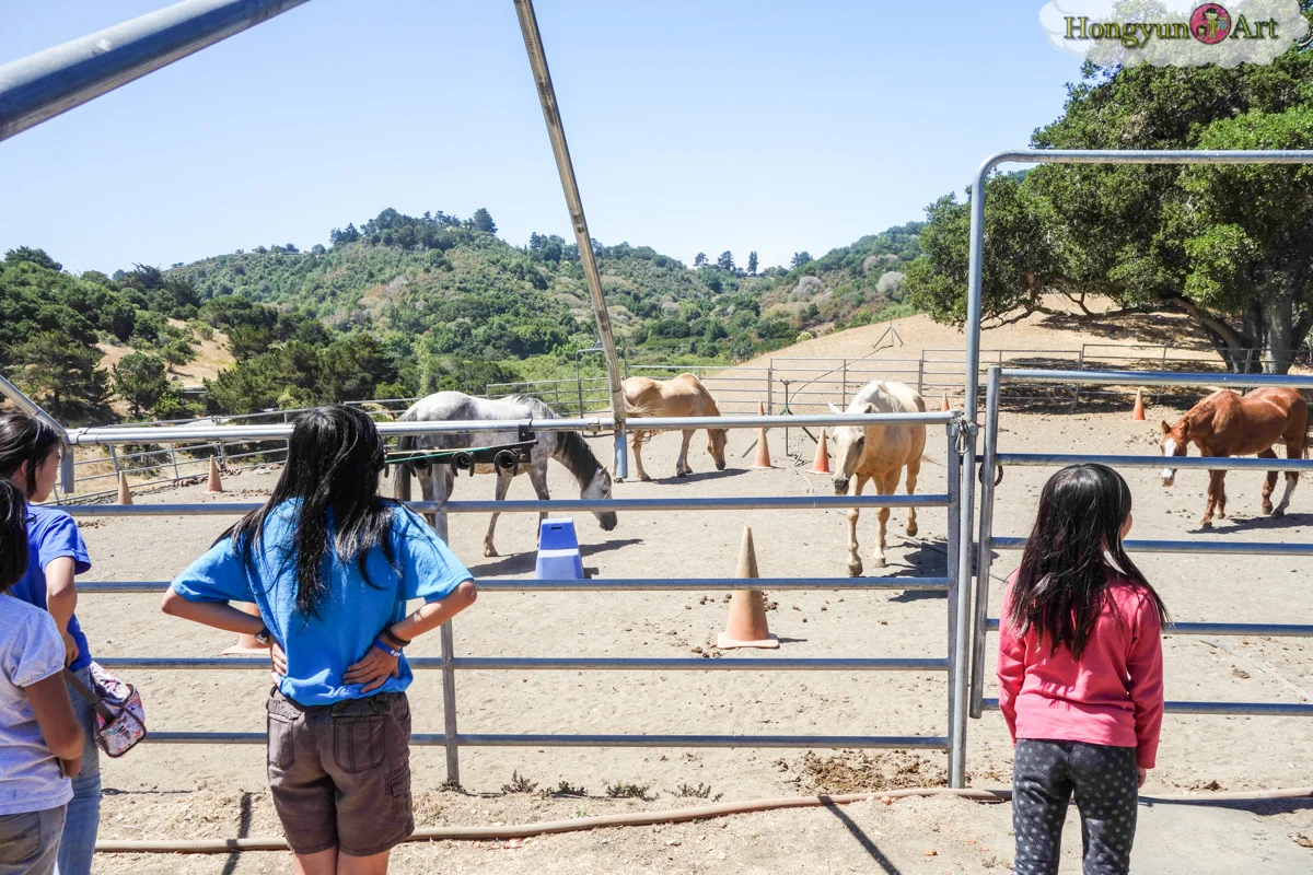 20130708-HYA-Summer-Camp-ArtExplorers-03566.jpg