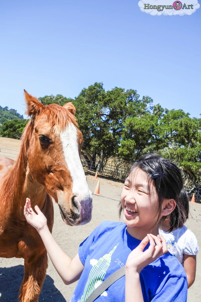 20130708-HYA-Summer-Camp-ArtExplorers-03616.jpg