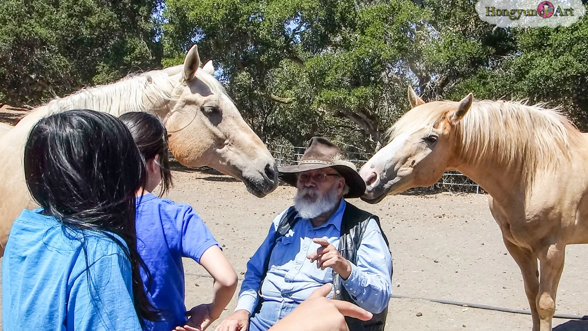 All of the horses love Mr. Rooster!