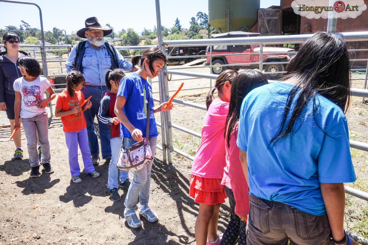 20130708-HYA-Summer-Camp-ArtExplorers-03669.jpg