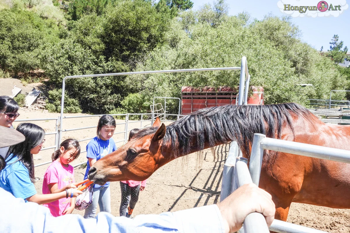 20130708-HYA-Summer-Camp-ArtExplorers-03693.jpg
