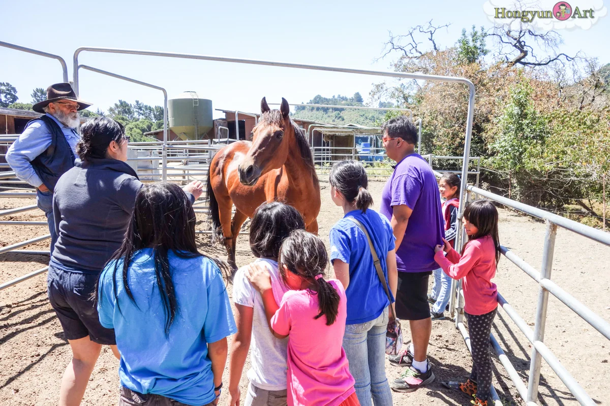 20130708-HYA-Summer-Camp-ArtExplorers-03704.jpg