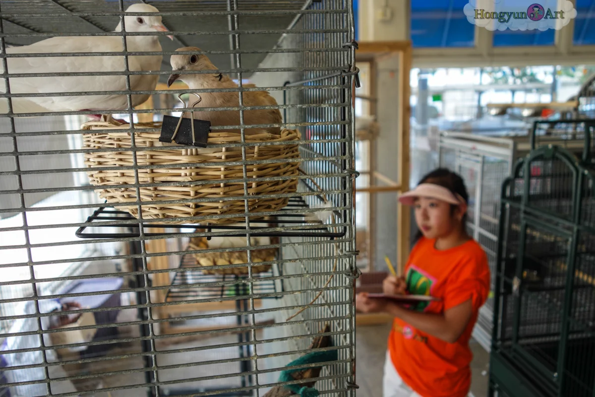 20130722-HYA-Summer-Camp-ArtExplorers-106.jpg