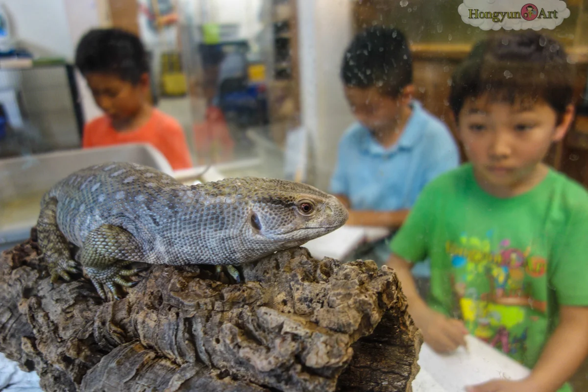 20130722-HYA-Summer-Camp-ArtExplorers-114.jpg